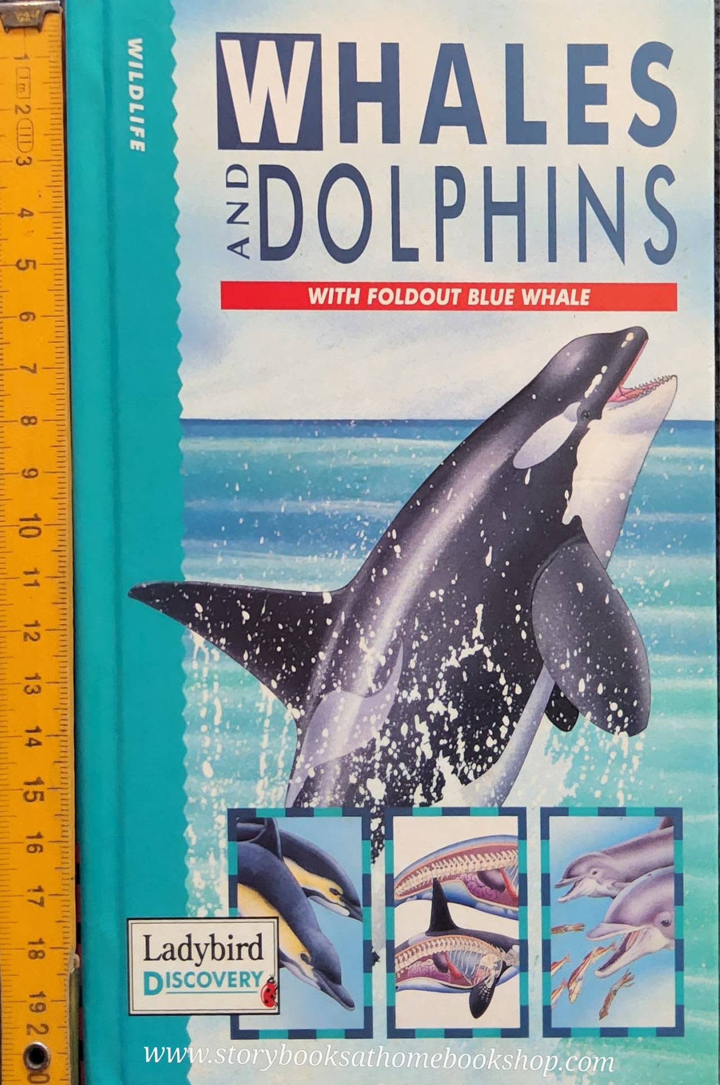 KNOWLEDGE BOOK** ♥️♥️WHALES AND DOPHINS (WITH FOLDOUT BLUE WHALE)