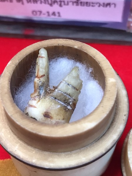 ทันตธาตุหลวงปู่ครูบาชัยยะวงศา พร้อมผ้าจีวรและพระธาตุข้าวบิณฑ์