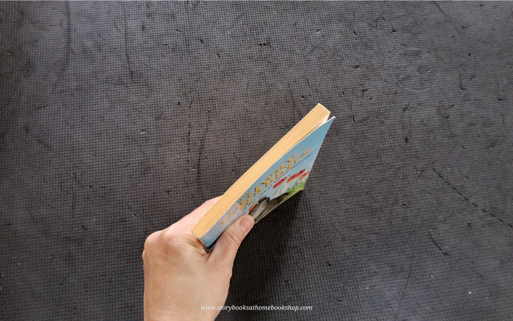 วรรณกรรมเยาวชน** 🍅The Railway Rabbites: Mellow and the Great River Rescue by Georgie Adams Anna Currey