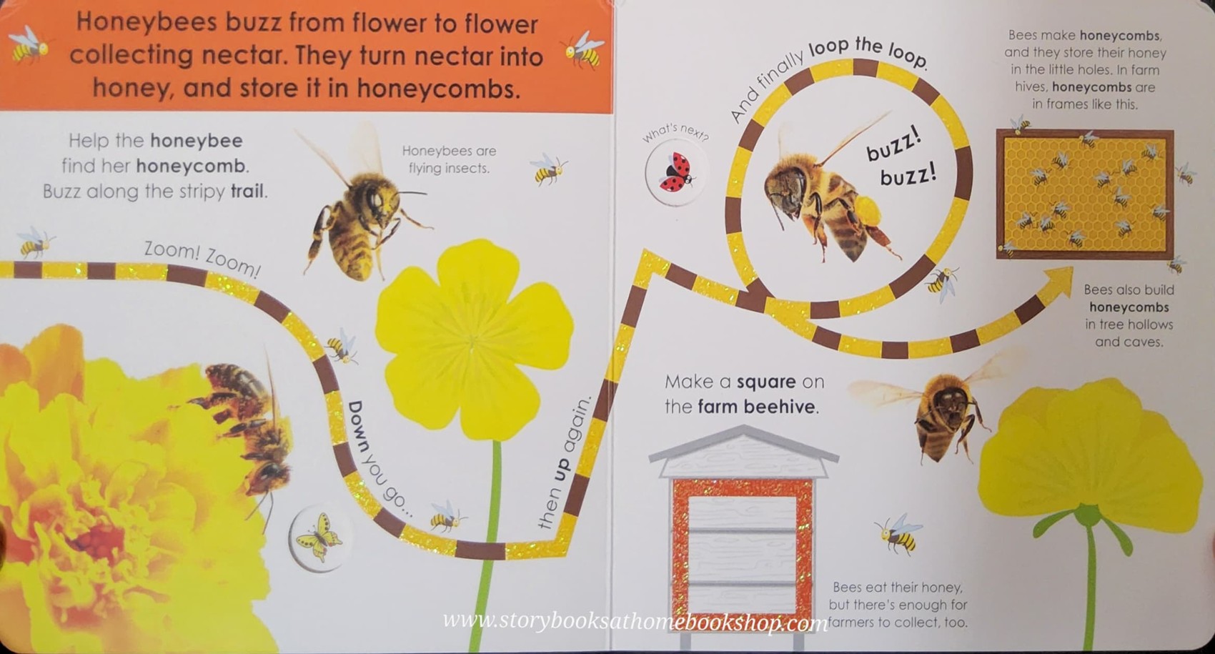 FUN FINGER TRAILS BOARD BOOK** ♥️FOLLOW THE TRAIL MINIBEASTS