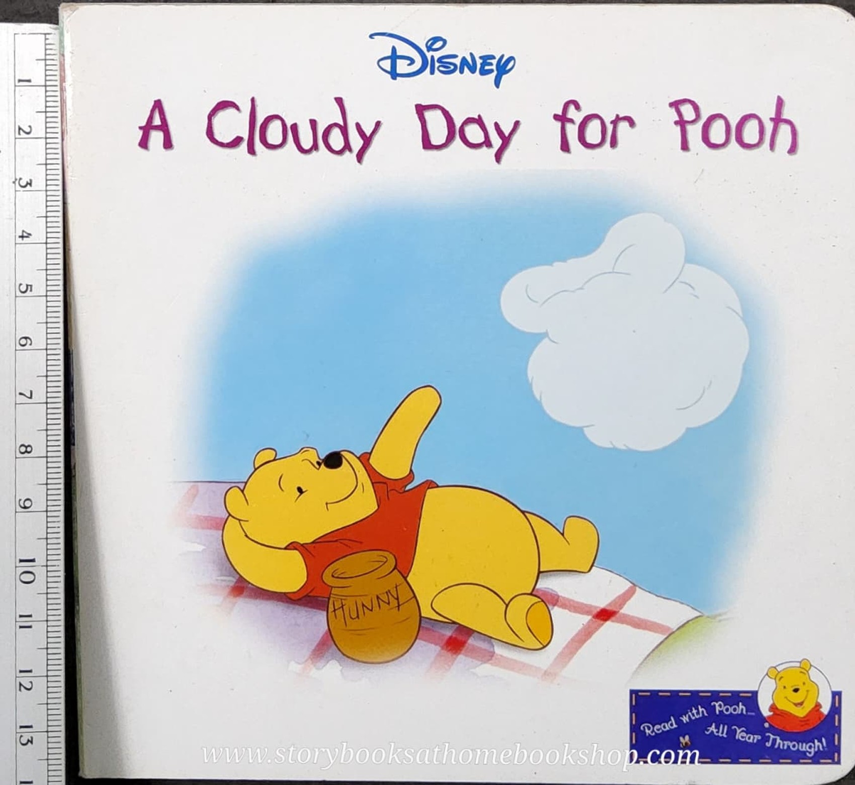 Board Book** 🍅🍓DISNEY A CLOUDY DAY FOR POOH