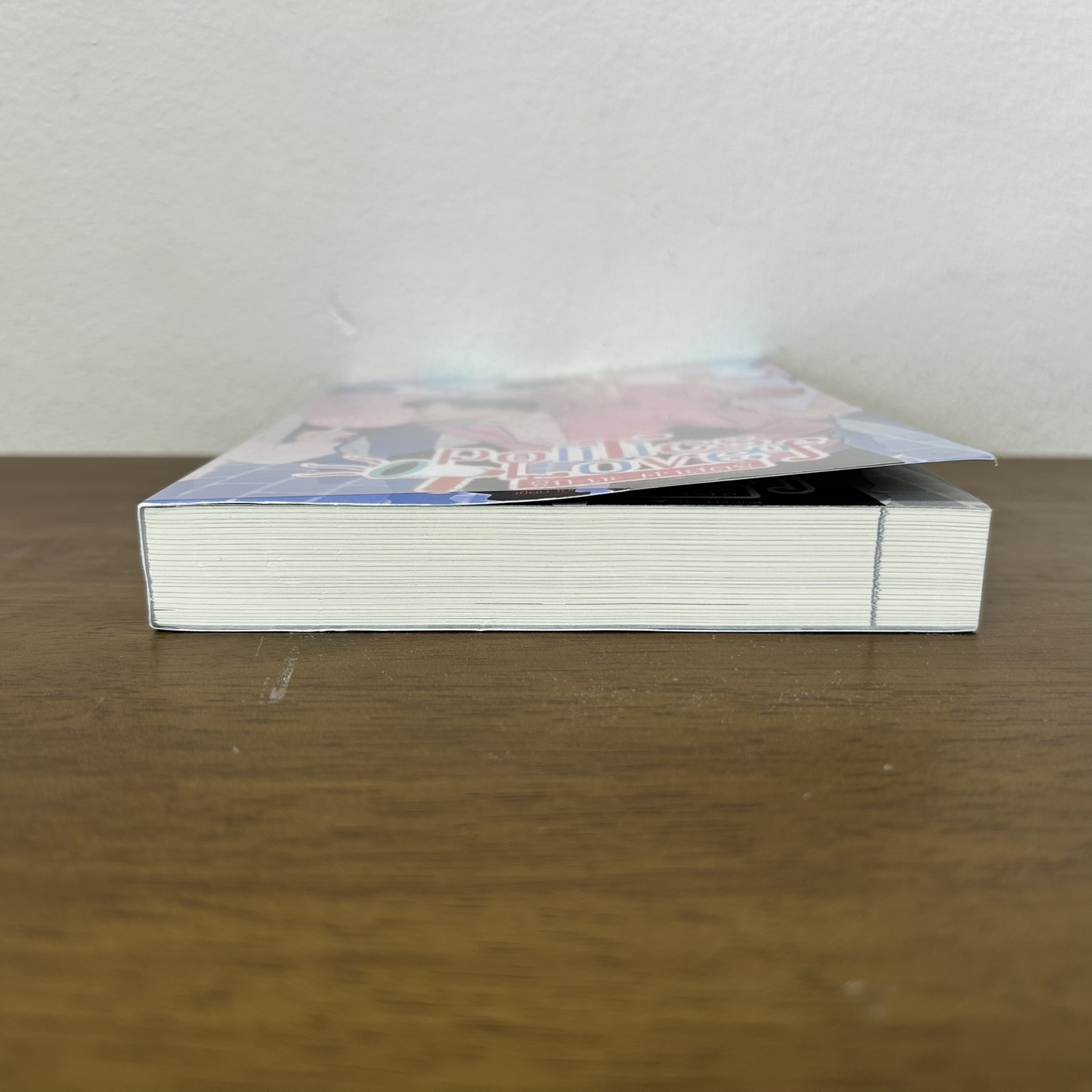 [YAOI] Politics of love รัก-ถะ-ศาสตร์ ... ไก่ทอดมาแล้วจ้า (มือสอง) นิยายวาย