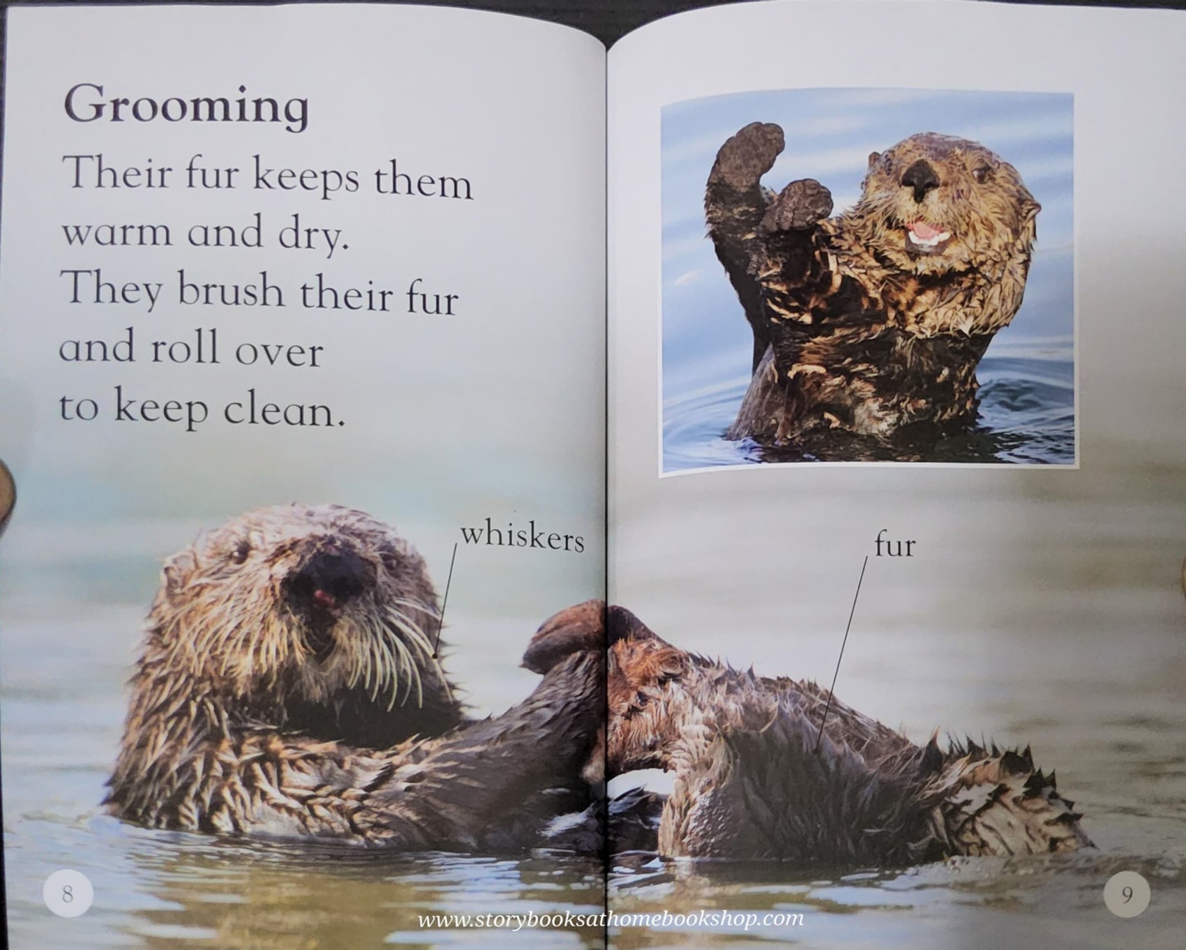 หนังสือนิทานปกอ่อน** 🍅🍓DK LEVEL1:SEA OTTERS