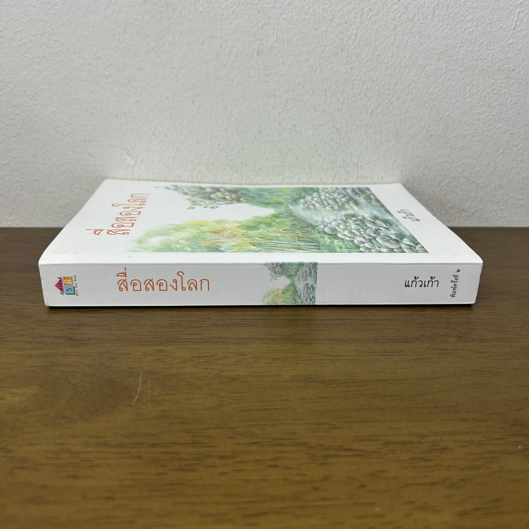สื่อสองโลก ... แก้วเก้า (มือสอง) นิยาย โรแมนติก ทรีบีส์ เพื่อนดี