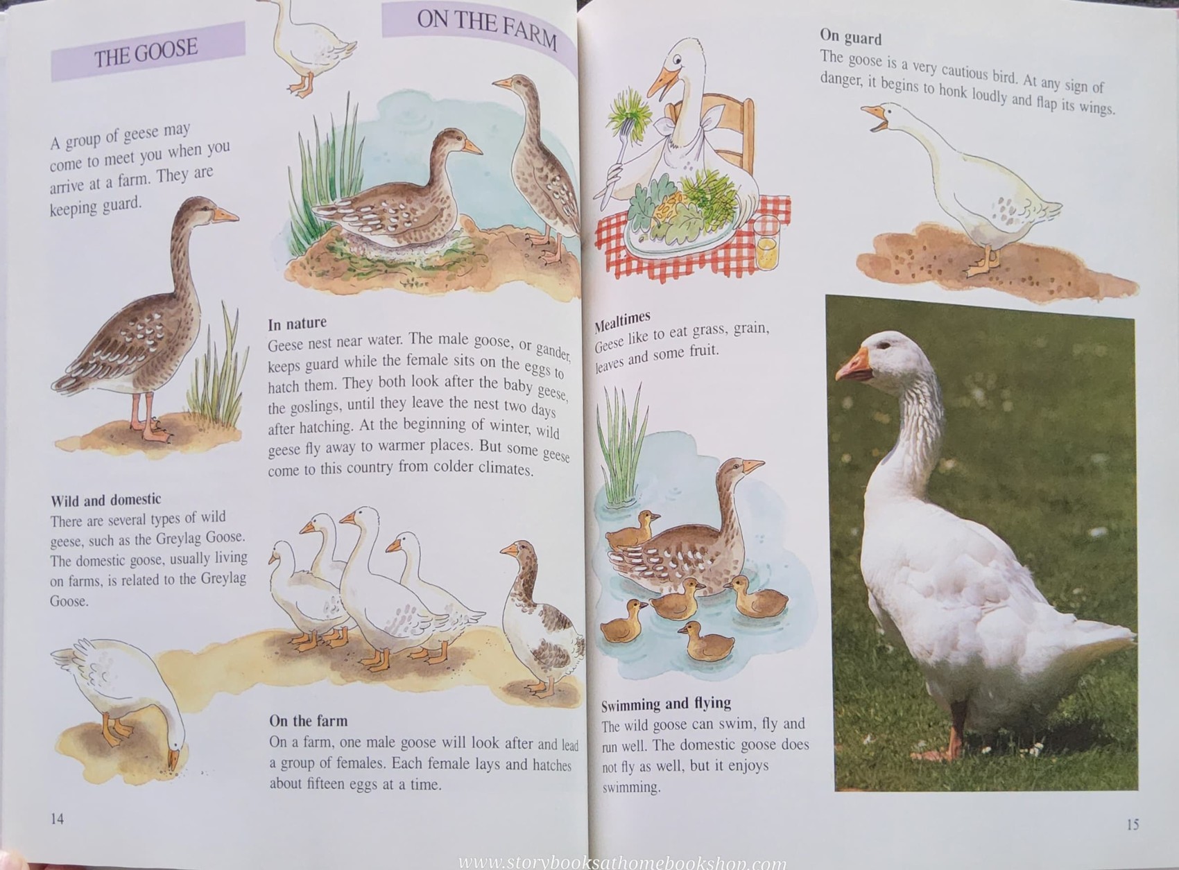 KNOWLEDGE BOOK** ♥️♥️HOW ANIMALS LIVE ON THE FARM