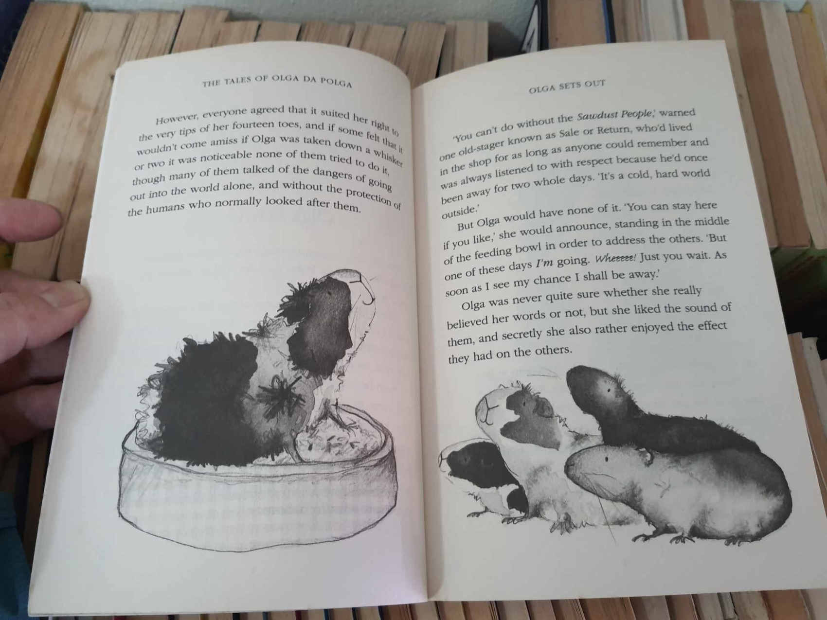 วรรณกรรมเยาวชน** **หนังสือนิทานปกอ่อน** 🍅🍓THE TALES OF OLGA DA POLGA: A LITTLE GUINEA-PIG AND HER BIG ADVENTURES! BY MICHAEL BOND