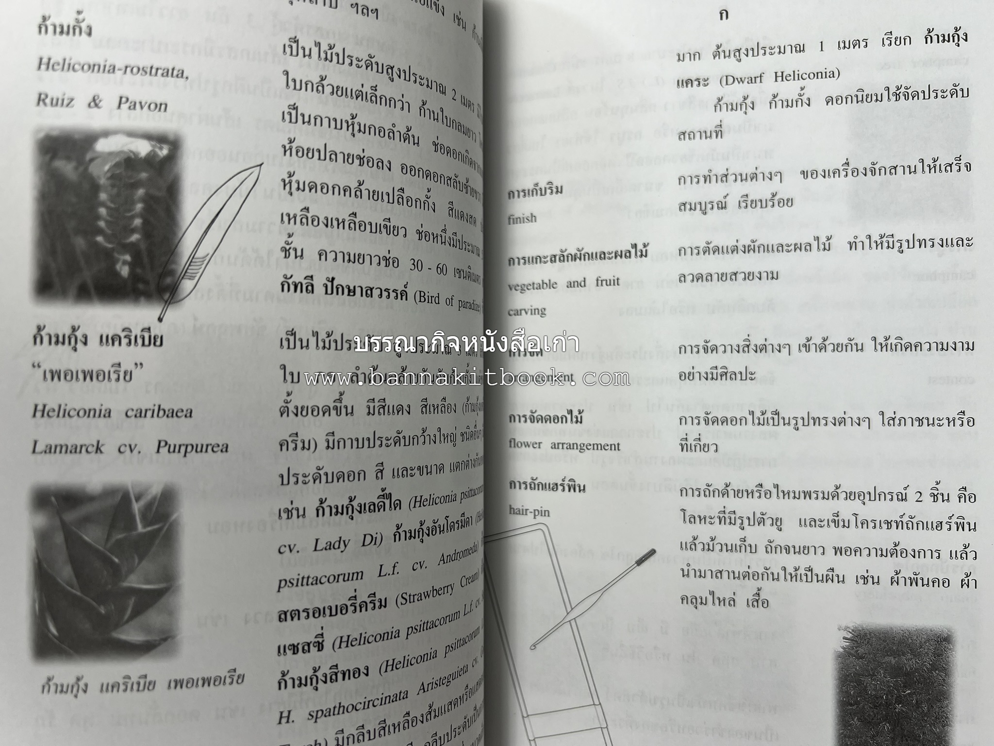 ศัพท์ศิลปประดิษฐ์ โดย : สมาคมคหเศรษฐศาสตร์แห่งประเทศไทย ในพระบรมราชินูปถัมภ์.