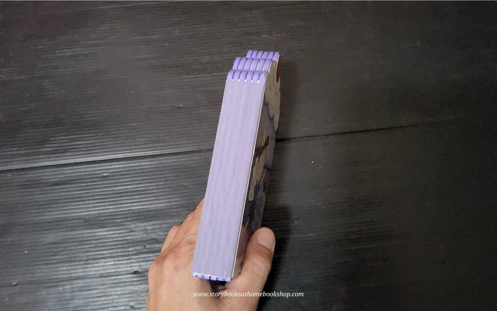 BOARD BOOK** 🍅🍅BELLA BLUEBERRY FAIRY