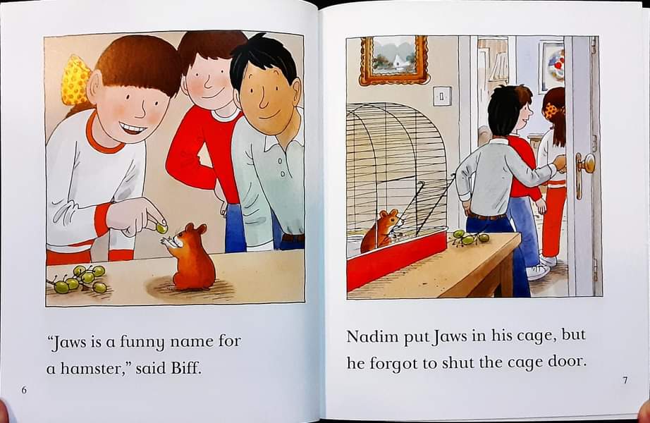 หนังสือนิทานปกอ่อน** 🍓🍓Biff Chip&Kipper:First Stories Level4:Missing