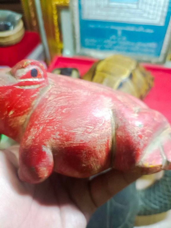 กบแดง ไม้แกะ มีรอยจาร ครูบาชัยยยะวงศา วัดพระพุทธบาทห้วยต้ม จ,ลำพูน ได้มาจากหนานป๋อง อายุ 64 ปี เคยบวชรับใช้ครูบาวงศ์ สึกเมื่อปี 2553 สึกออกมาเป็นฆาราวาส อาศัยอยู่ที่บ้านป่าไผ่ อ.ลี้ ได้รับของหลายชิ้นมาจากครูบาวงศ์ หลวงปู่เสกให้ในกุฏิ มอบให้หนานป๋อง