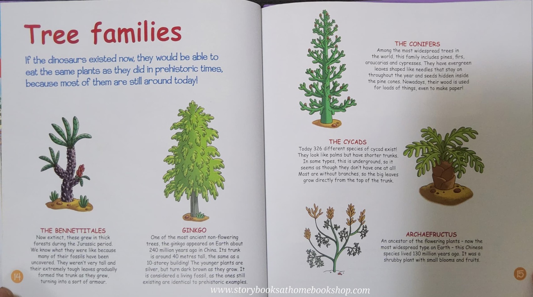 หนังสือนิทานปกแข็ง** 🍅🍓DINOSAURS&FRIENDS READ.LEARN.PLAY:PREHISTORIC PLANTS:PLAMS,PINES AND MAGNOLIAS #54