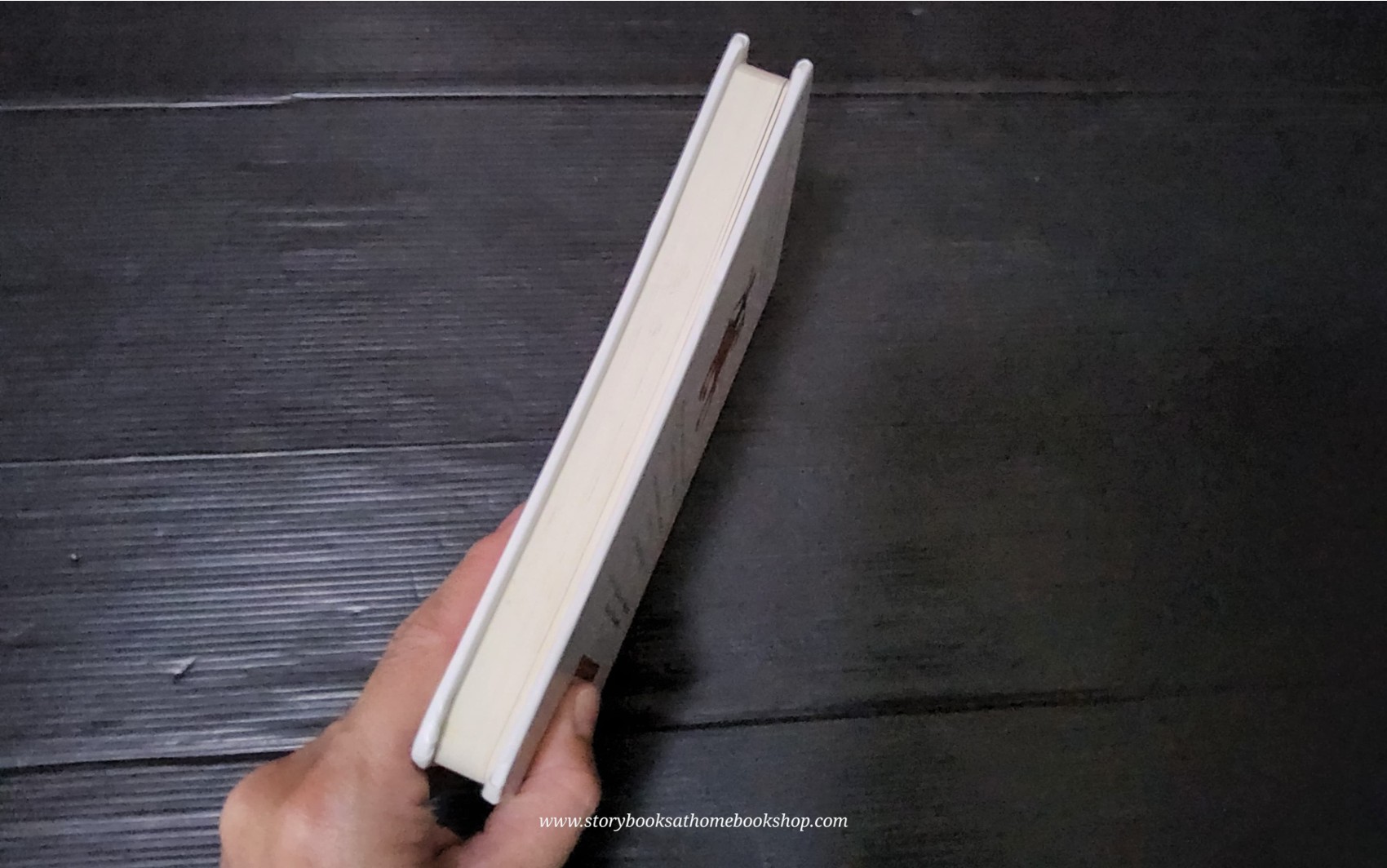 BOARD BOOK** 🍅🍅THE TIGER WHO CAME TO TEA BY JUDITH KERR