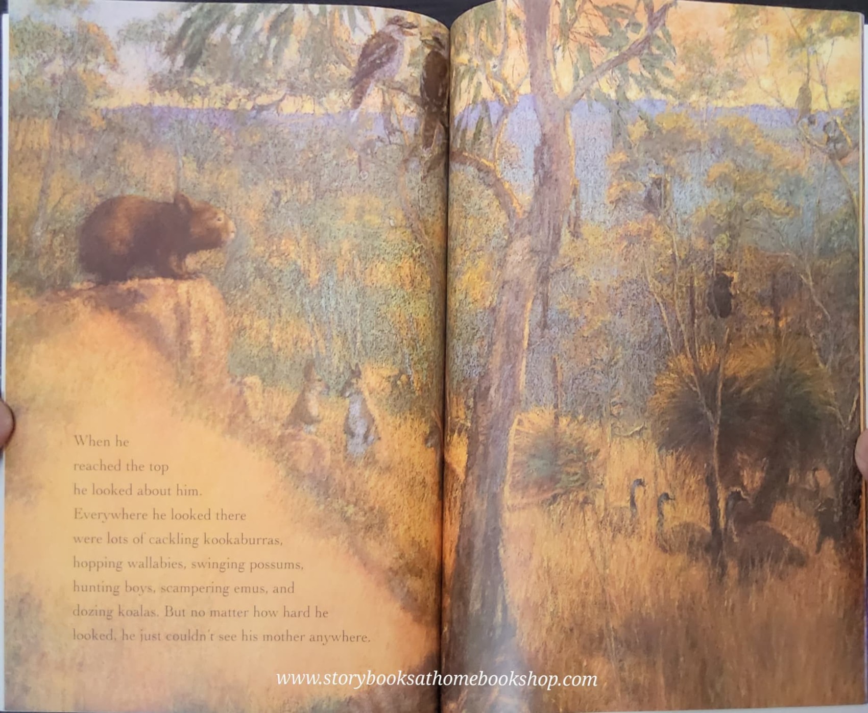 หนังสือนิทานปกอ่อน** 🍅WOMBAT GOES WALKABOUT BY MICHAEL MORPURGO