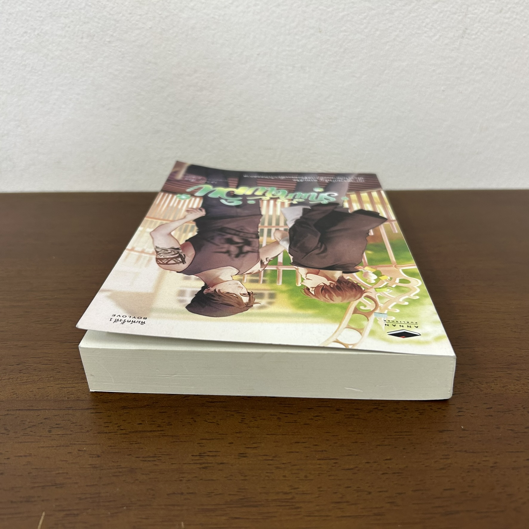 [YAOI] รักนี้ที่ดับลิน ... นกม่อ (มือสอง) นิยายวาย