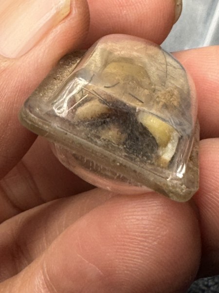 พระทันตธาตุครูบาอินทร์ วัดบ้านใหม่ จ.ลำปาง ร.ต.อ.พิทักษ์ได้มาจากอดีตผู้ใหญ่บ้านแม่สุข อ.วังเหนือ จ.ลำปาง ชื่อผู้ใหญ่เขียว อายุ 76 ปี เคยเป็นผู้ใหญ่บ้านราว ปี 2535-2542 ผู้ใหญ่เขียวเป็นศิษย์ครูบาอินทร์ ระหว่างปี 30-38 โดยได้รับพระทันตธาตุนี้ในปี 2536