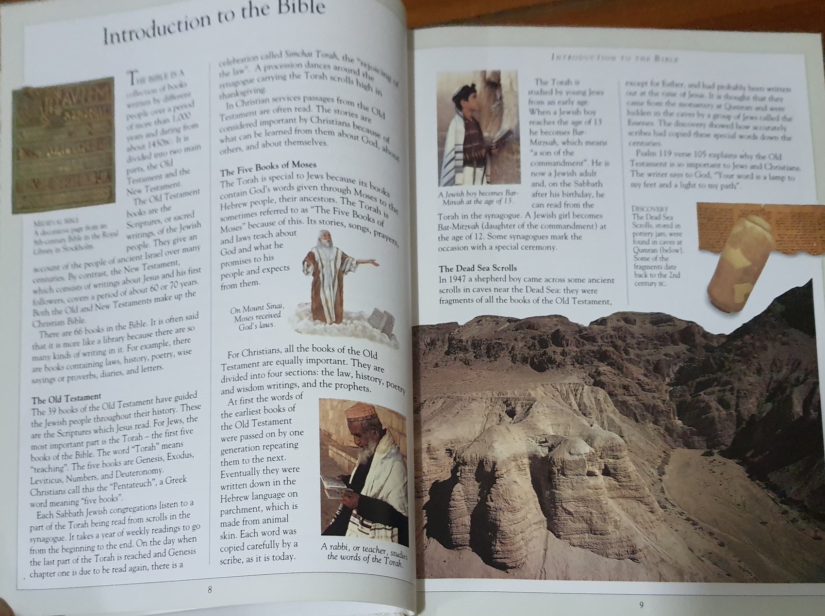 KNOWLEDGE BOOK** ♥️THE CHILDREN'S ILLUSTRAED BIBLE