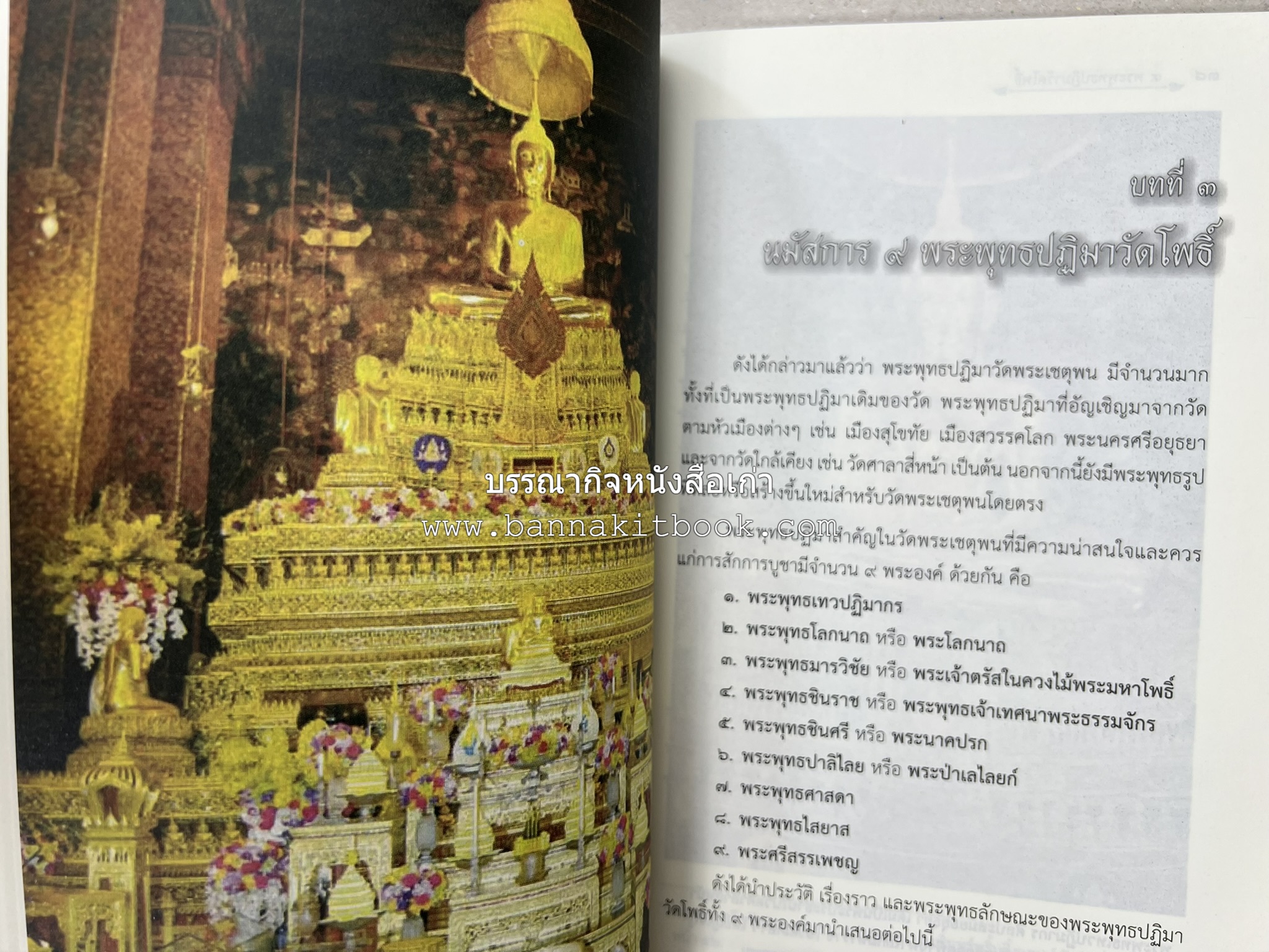 ๙ พระพุทธปฏิมาวัดโพธิ์ โดย : รองศาสตราจารย์ ดร.ศานติ ภักดีคำ.
