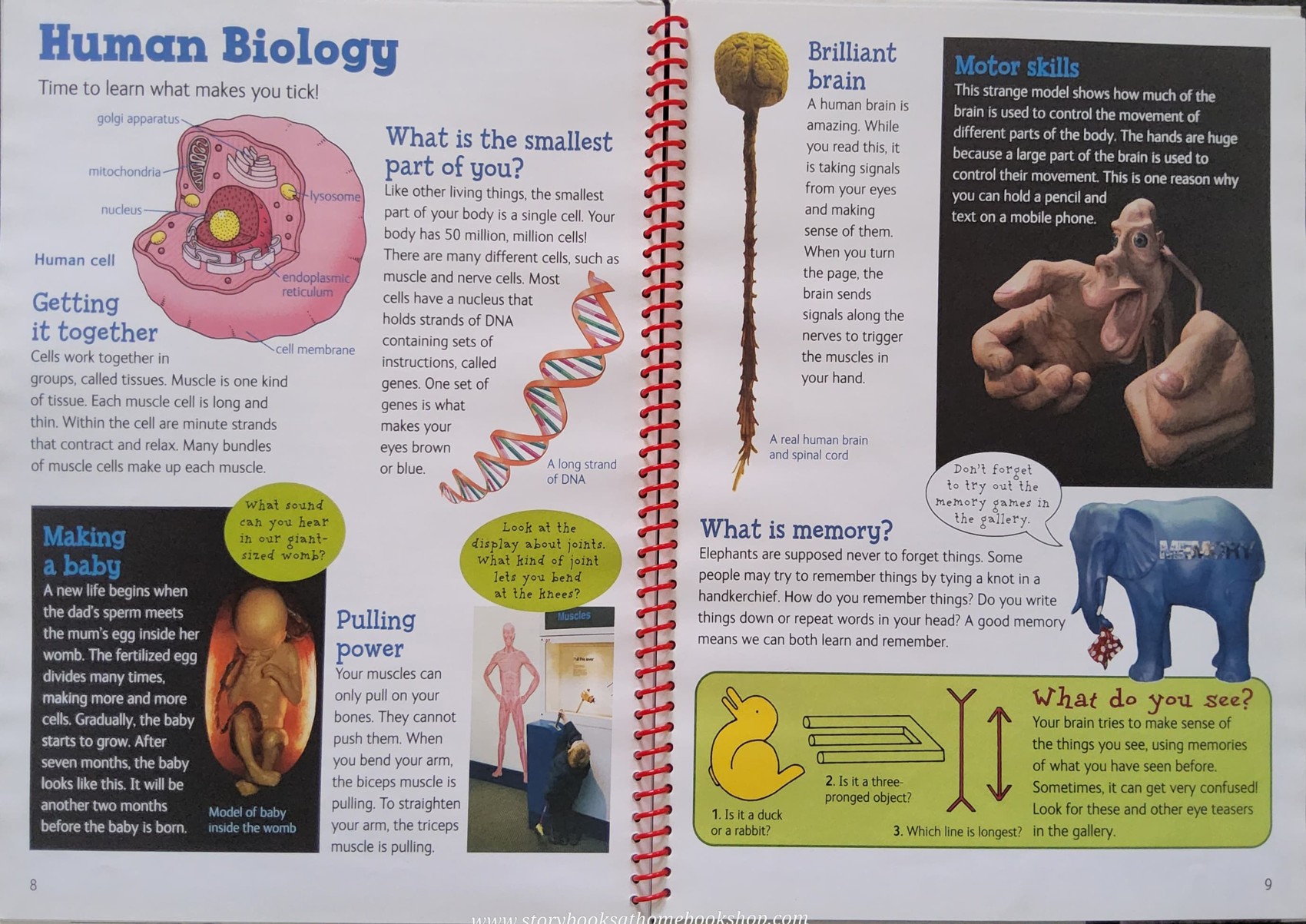 KNOWLEDGE BOOK** 🍓🍓 NATURAL HISTORY MUSEUM KIDS ONLY