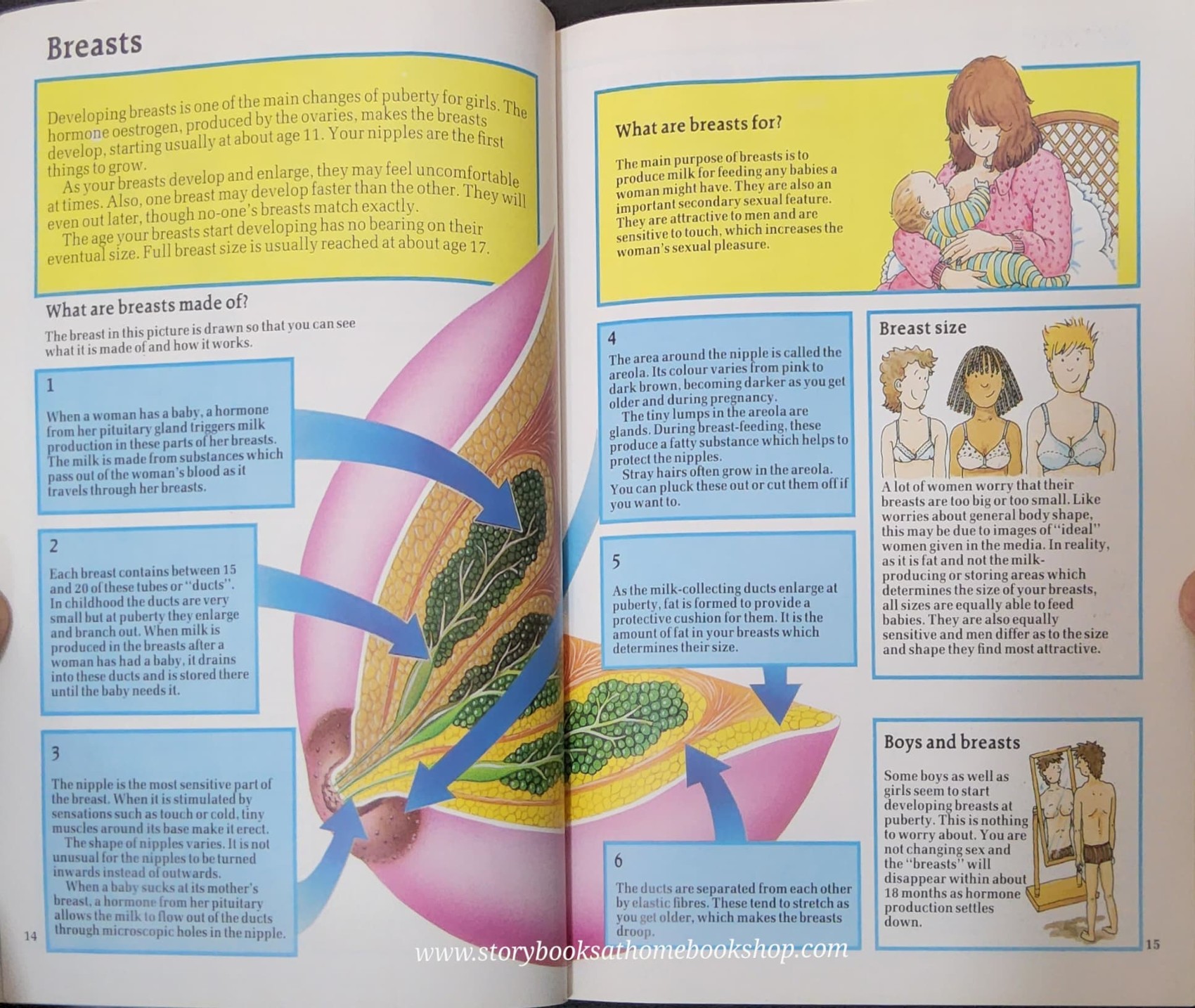 KNOWLEDGE BOOK** 🍅🍓USBORNE FACTS OF LIFE GROWING UP ADOLESCENCE,BODY CHANGES AND SEX