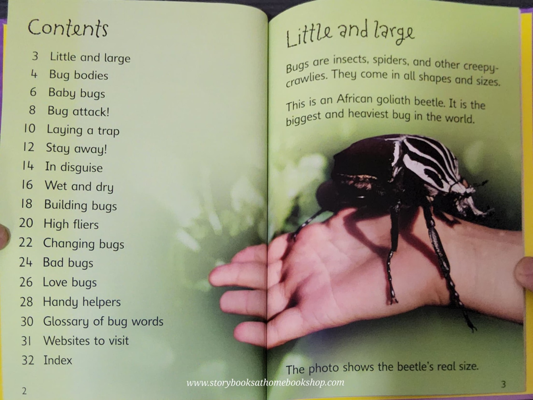 KNOWLEDGE BOOK** ♥️♥️USBORNE BUGS