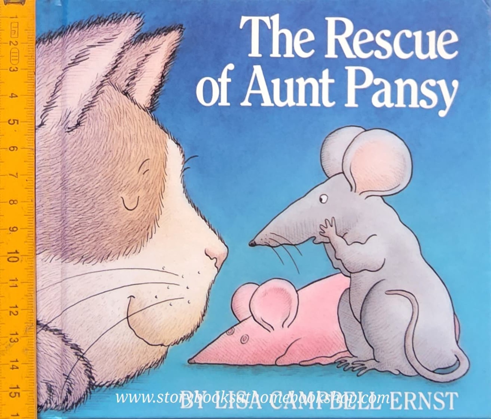 *FLAP BOOK นิทานปกแข็ง** ♥️THE RESCUE OF AUNT PANSY BY LISA CAMPBELL ERNST