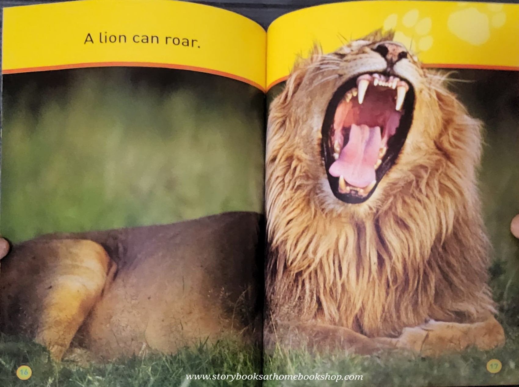 KNOWLEDGE BOOK ** ð
ðNATIONAL GEOGRAPHIC KIDS: GO,CUB! LEVEL1