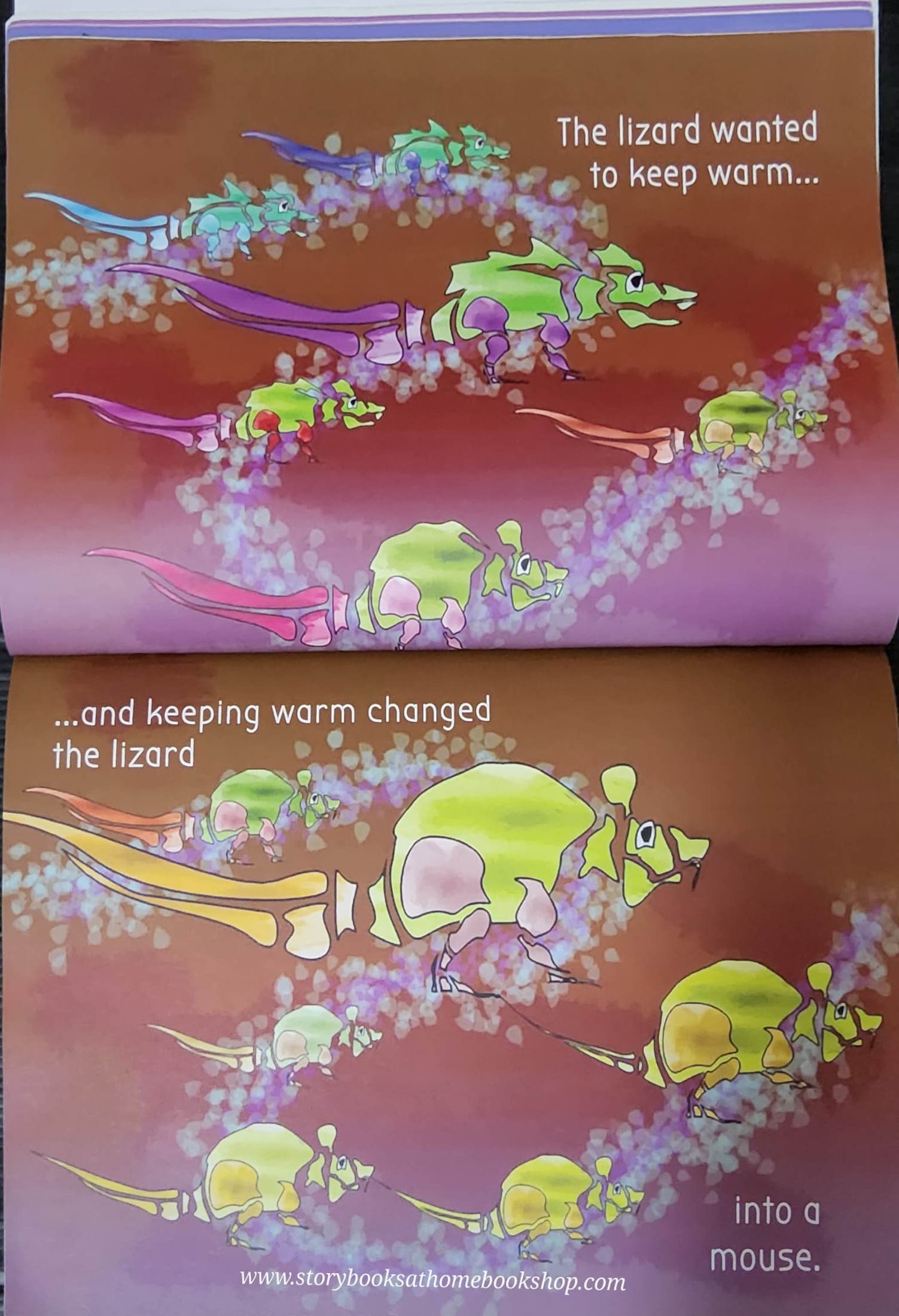 หนังสือนิทานปกอ่อน ** 🍅🍓HOW WORM BECAME EVERYTHING