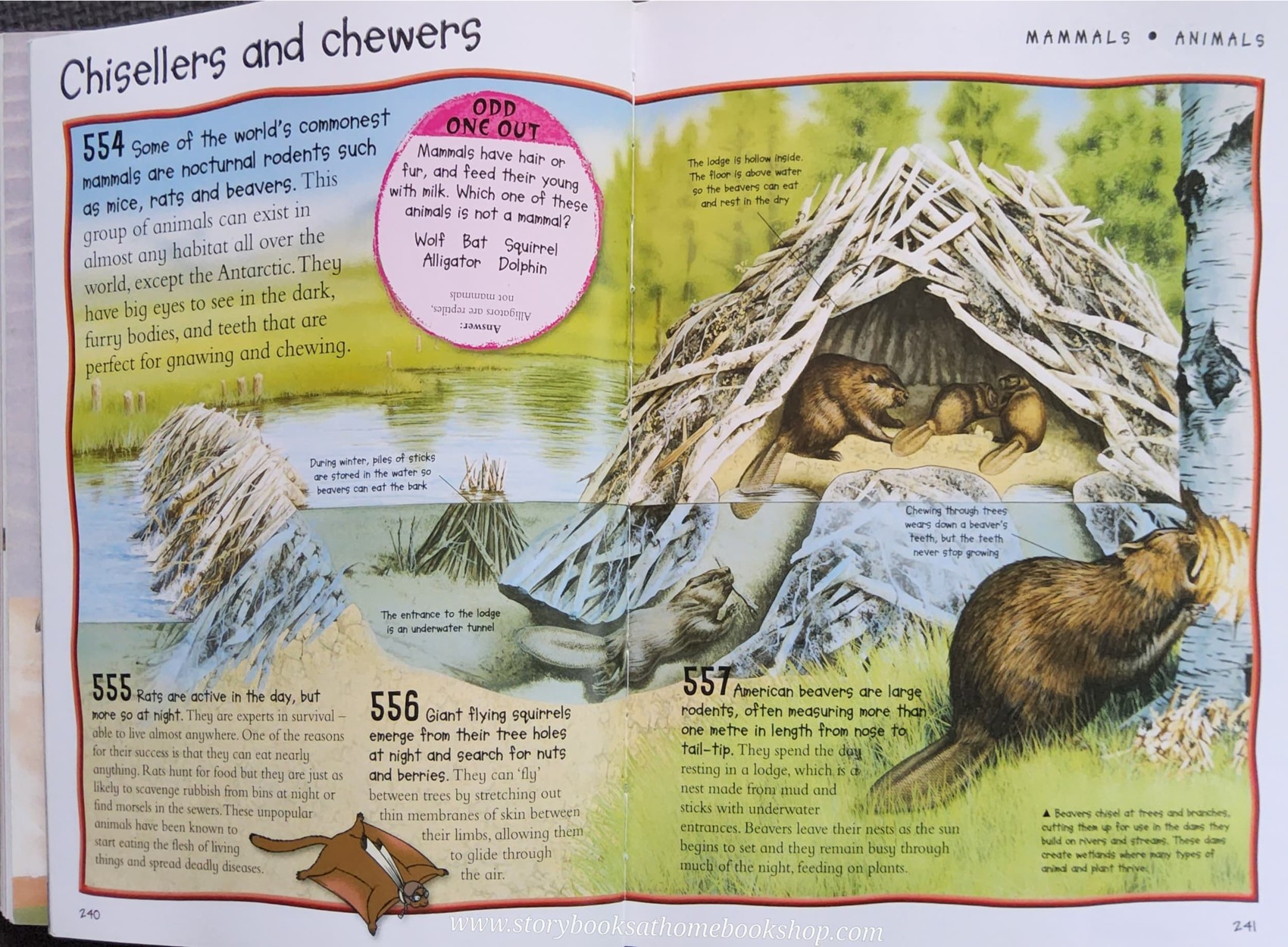 KNOWLEDGE BOOK** ♥️OVER 1000 FANTASTIC FACTS