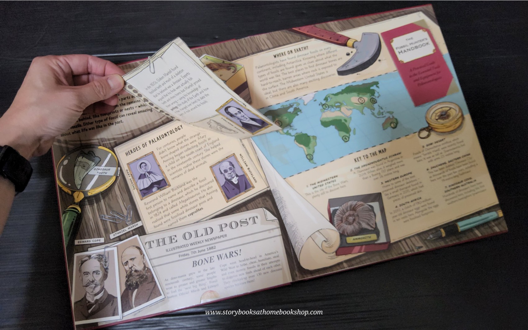 Pop-up Knowledge book ** 🍅🍓 A DAY AT THE DINOSAUR MUSEUM