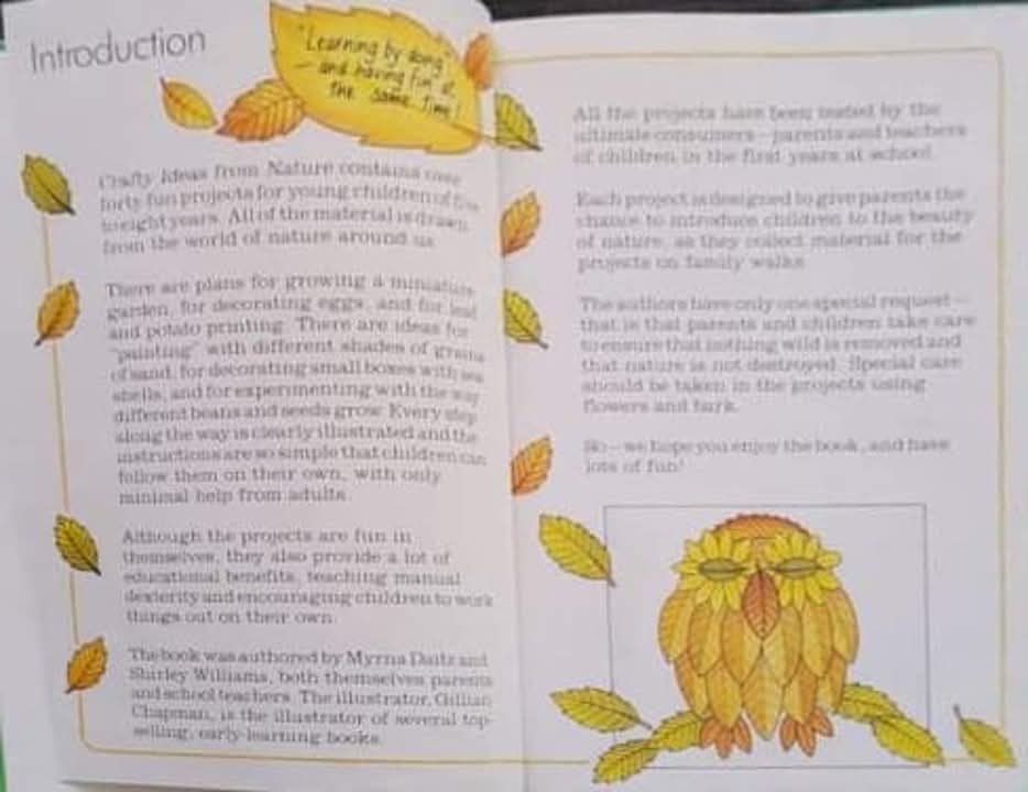 CRAFTY ACTIVITY BOOK** ð
ðCRAFTY IDEAS FROM NATURE