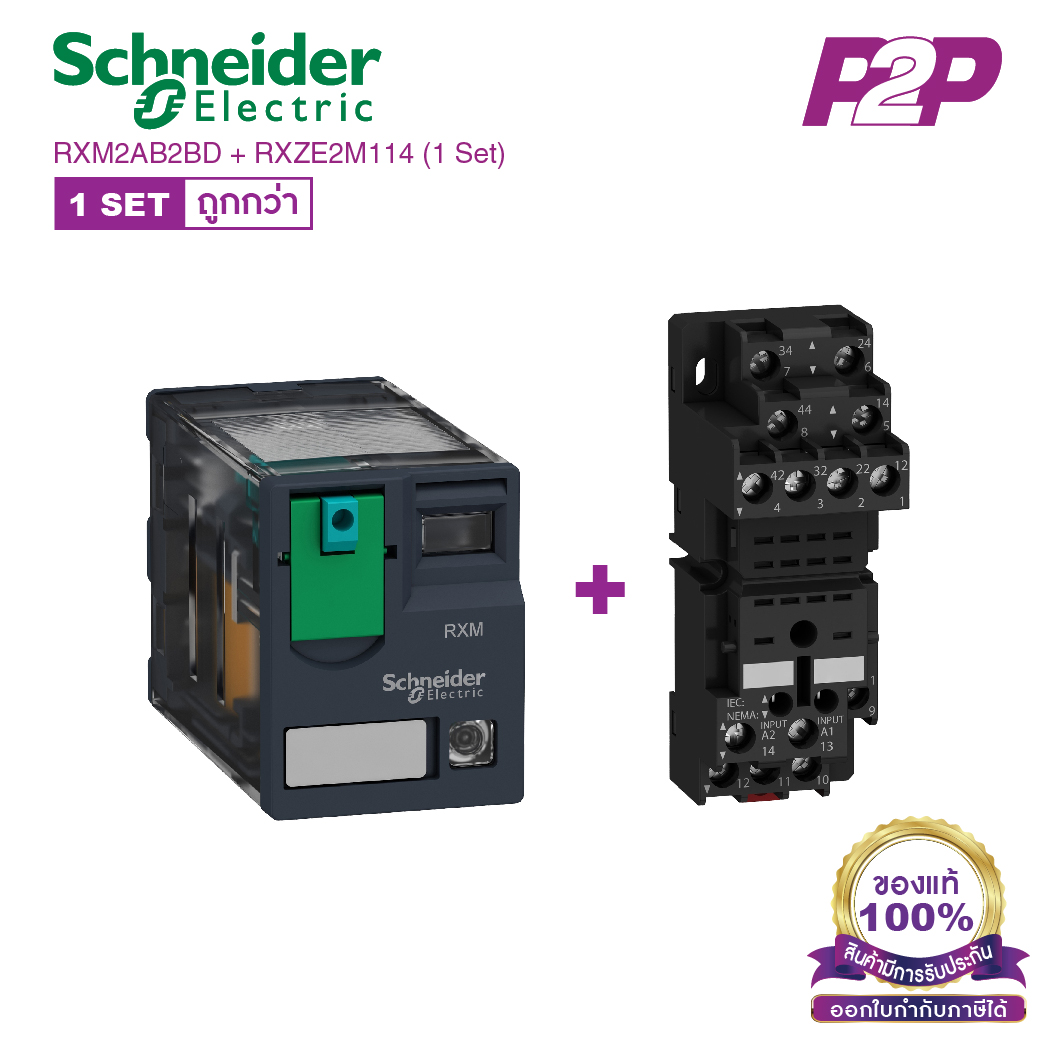 RXM2AB2BD + RXZE2M114 (1 Set) : รีเลย์พร้อมฐานเสียบ 2 คอนแทค 12A 24VDC ไฟ LED แสดงสถานะ - Schneider Relay&Socket by pik2pak.com