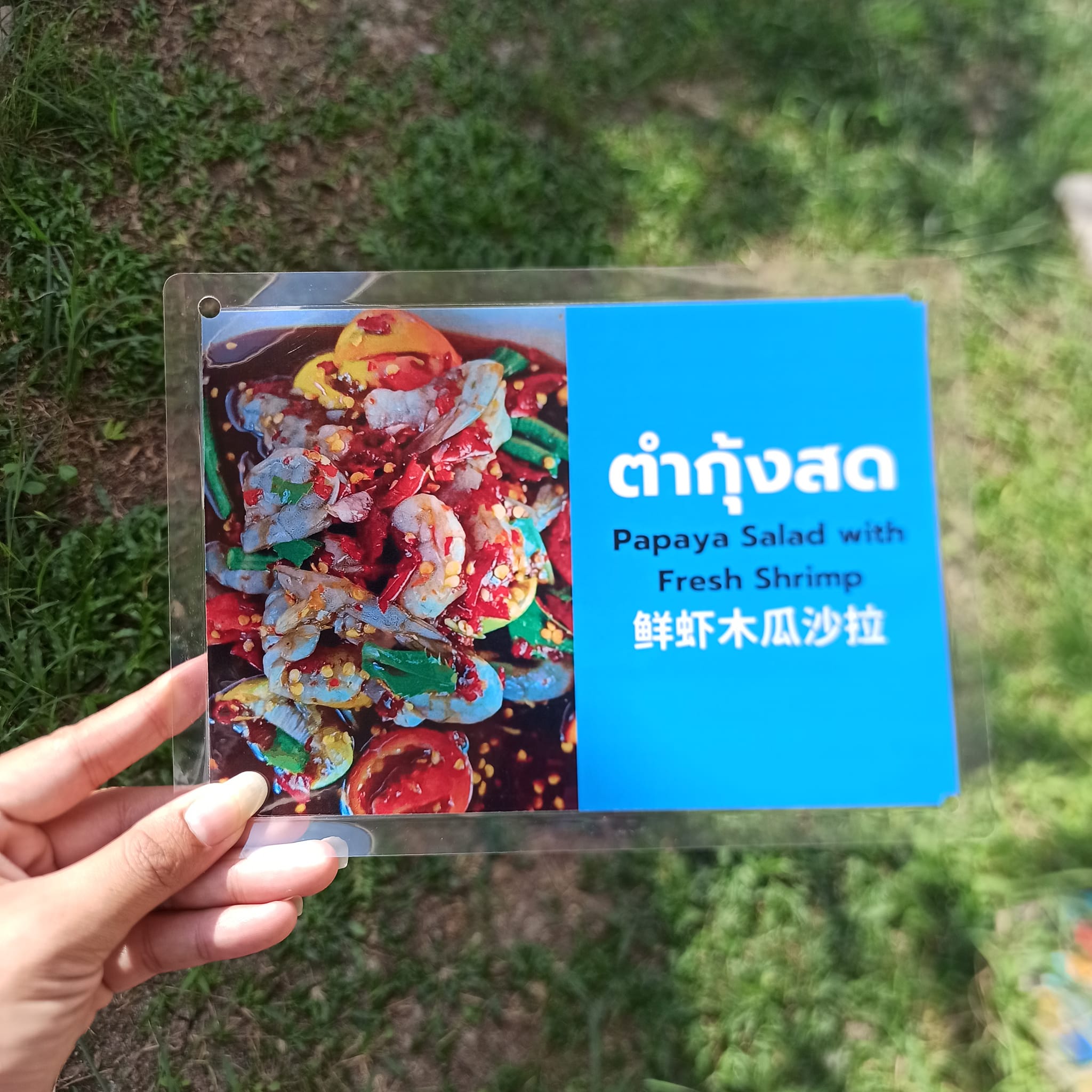 ชุดป้ายเมนูตำ A5 สำเร็จรูป (4 แผ่น ตำขนมจีน,ตำหอยดอง,ตำกุ้งสด,ตำตีนไก่) เคลือบพลาสติกใส กันน้ำ พร้อมใช้งาน เพิ่มความสะดุดตาในร้านอาหาร