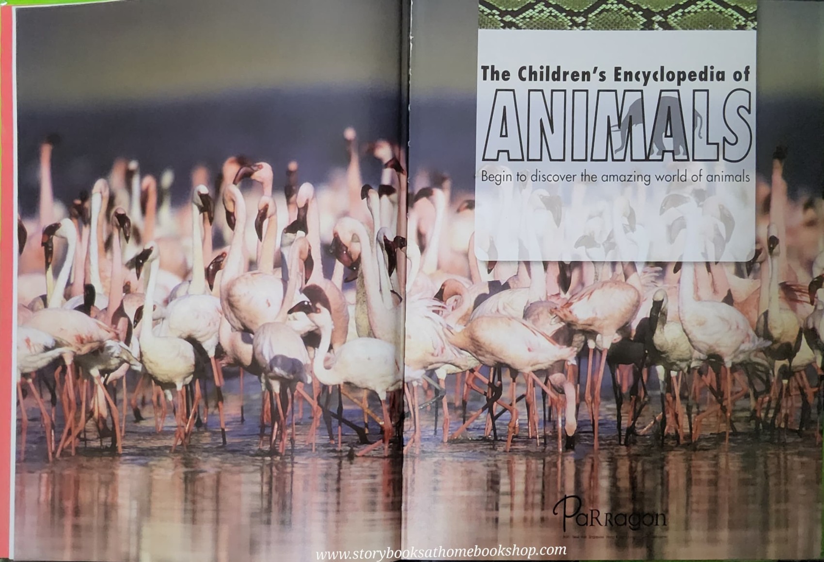KNOWLEDGE BOOK** ð
ðTHE CHILDREN'S ENCYCLOPEDIA OF ANIMALS