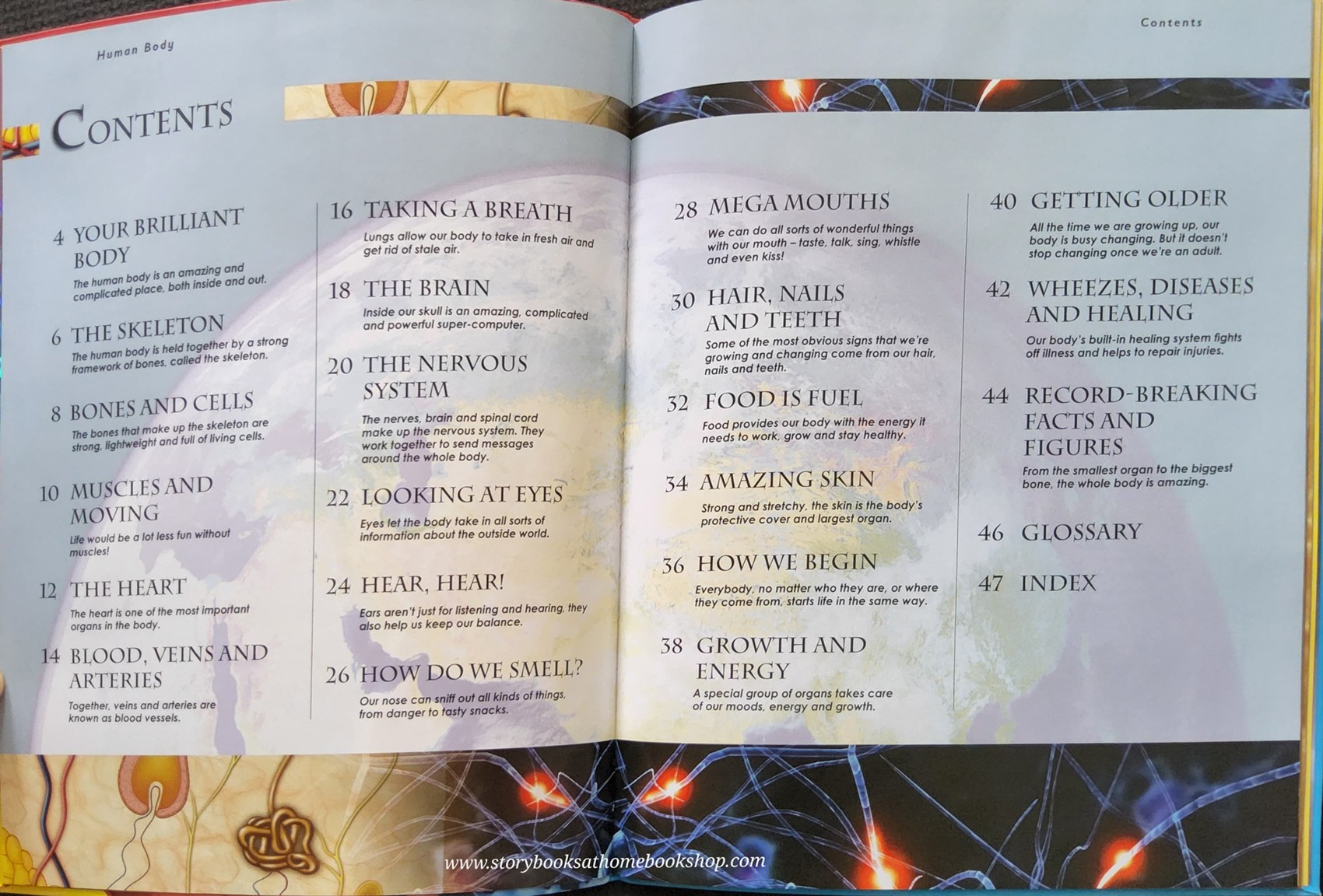 KNOWLEDGE BOOK ** 🍅🍓PRIMARY EXPLORERS: HUMAN BODY (STICKERS&GIANT POSTER)