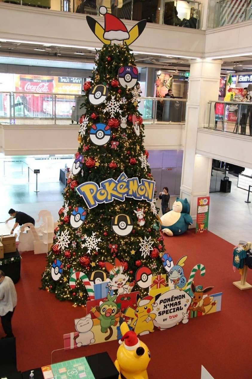 ลดค่าใช้จ่ายด้วยการเช่าต้นคริสต์มาส