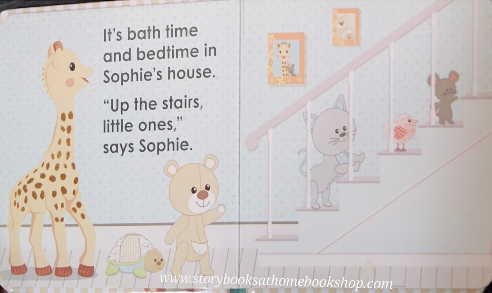 TOUCH AND FEEL BOARD BOOK ** 🍅🍓 GOODNIGHT,SOPHIE