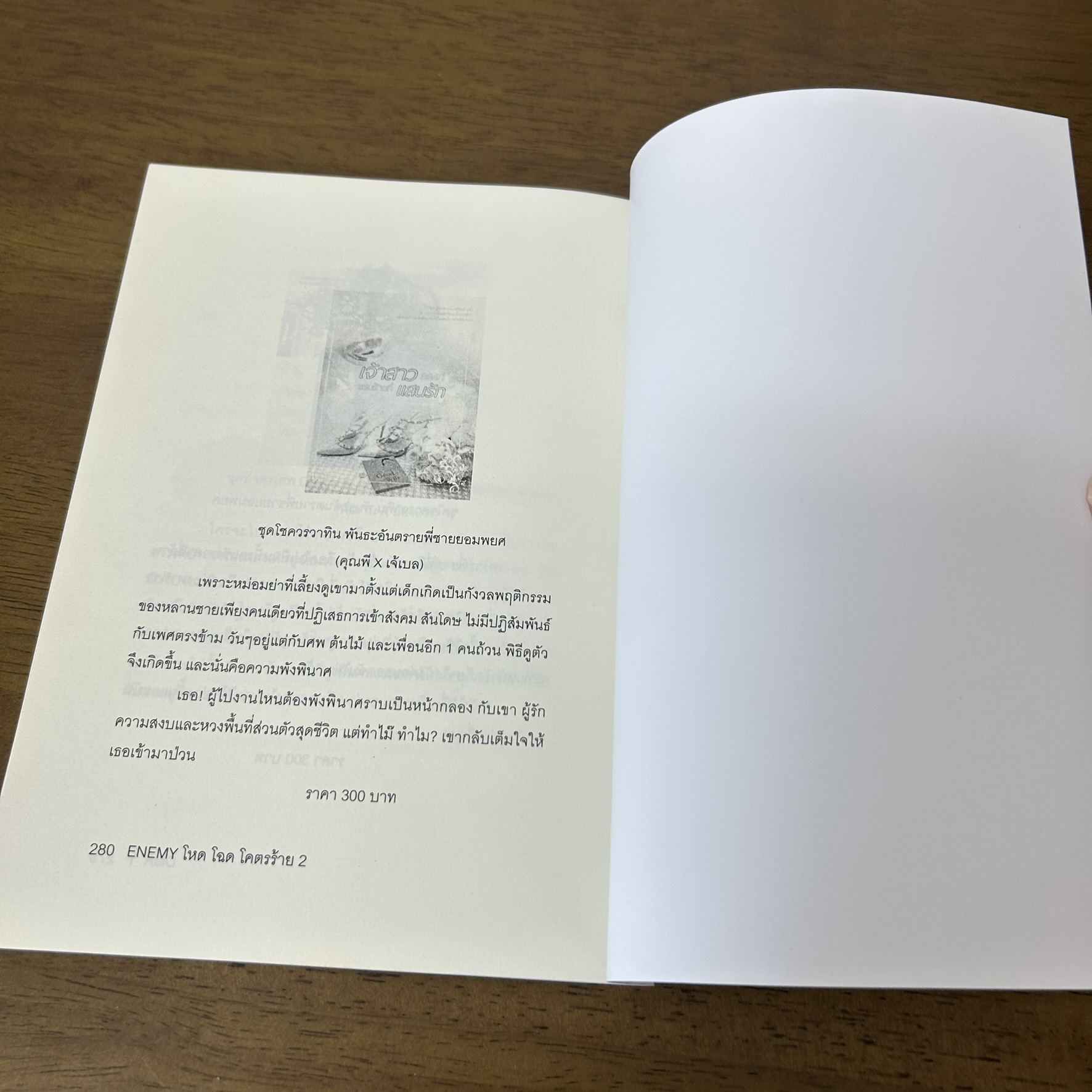 [YAOI] ENEMY โหด โฉด โคตรร้าย เล่มที่ 1-2 จบ ครบชุด ... DiaR' Y (มือสอง) นิยายวาย