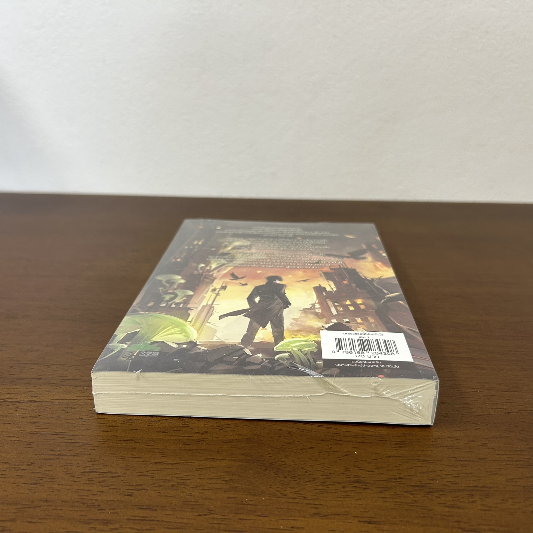 [YAOI] บทเฮงซวยนี้ไม่ขอรับไว้ เล่ม 1 ... เทียนถังฟั่งจู๋เจ่อ (มือหนึ่งซีล) นิยายวาย