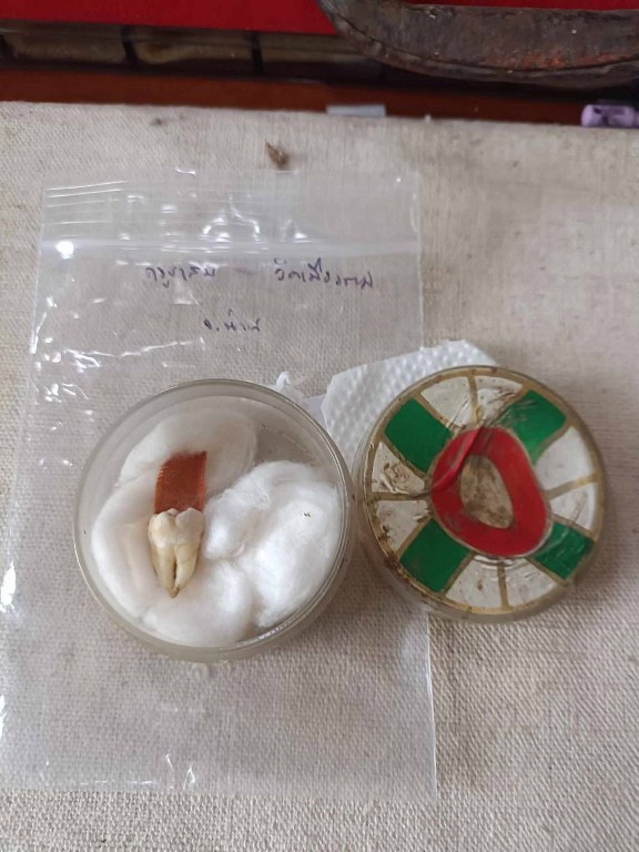 พระทันตธาตุ ครูบาสม วัดเมืองราม จ.น่าน ได้มาจากคุณวินัย อายุ 84 ปี อดีตนายอำเภอหลายพื้นที่ ได้พระทันตธาตุนี้มาปี 2542 จากนายสมชาย เป็นลูกน้อง ปัจจุบันนายสมชายเสียชีวิตแล้ว นายสมชายได้รับมาจากพระรับใช้ครูบาสม ซึ่งได้รับพระทันตธาตุมาจากมือครูบาสม