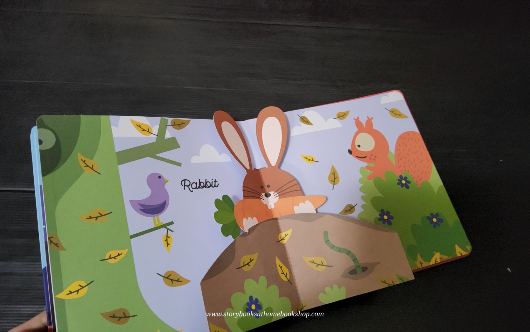 POP-UP BOOK** 🍅🍓MY ANIMAL POP-UP BOOK