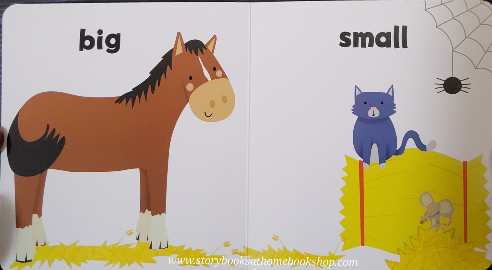 BOARD BOOK** 🍅🍓I LOVE OPPOSITES