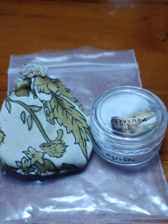 พระทันตธาตุครูบาก้อน วัดแม่พริกบน อ.แม่พริก จ.ลำปาง ได้มาจากหนานกุ้ง ลูกพ่อหนานหล้า พ่อหนานหล้าเคยบวชที่วัดแม่พริก ตั้งแต่ปี 2510- 2532 เมื่อสึกออกมาก็ทำสวน ค้าข้าวสารใน ต.แม่พริก อายุ 78 ปี ส่วนหนานกุ้งผู้เป็นลูกชายอายุ 37 ปี ได้มาเมื่อราว ๆ ปี 2530