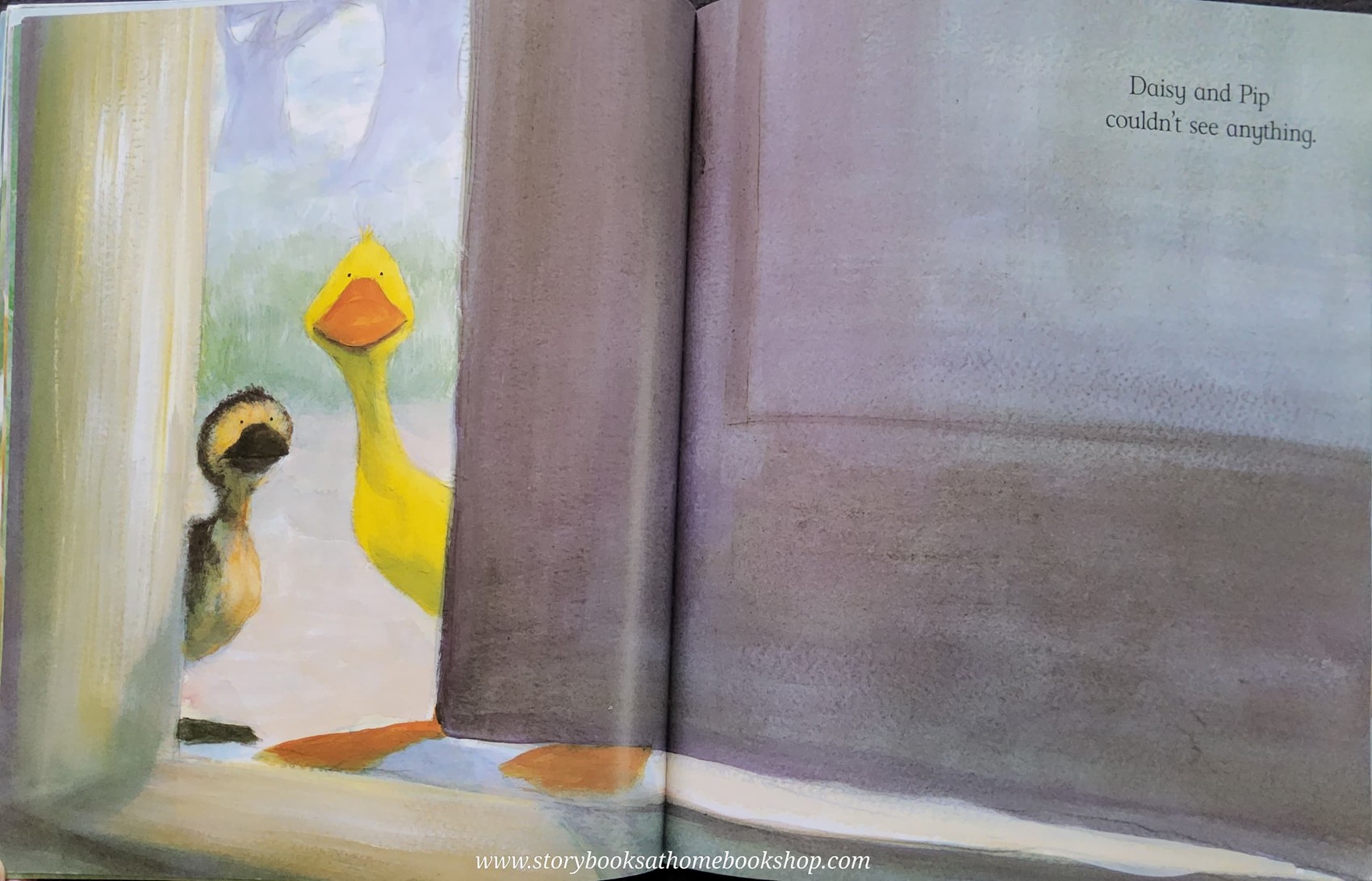 หนังสือนิทานปกอ่อน** 🍅🍅DAISY AND THE BEASTIE BY JANE SIMMONS