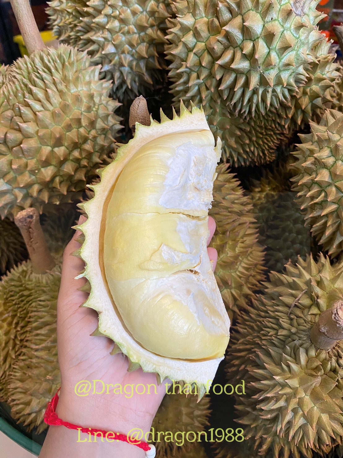ทุเรียนหมอนทองจันทบุรี 1ลูกขนาด ลูก1.5-1.8 กิโลกรัม