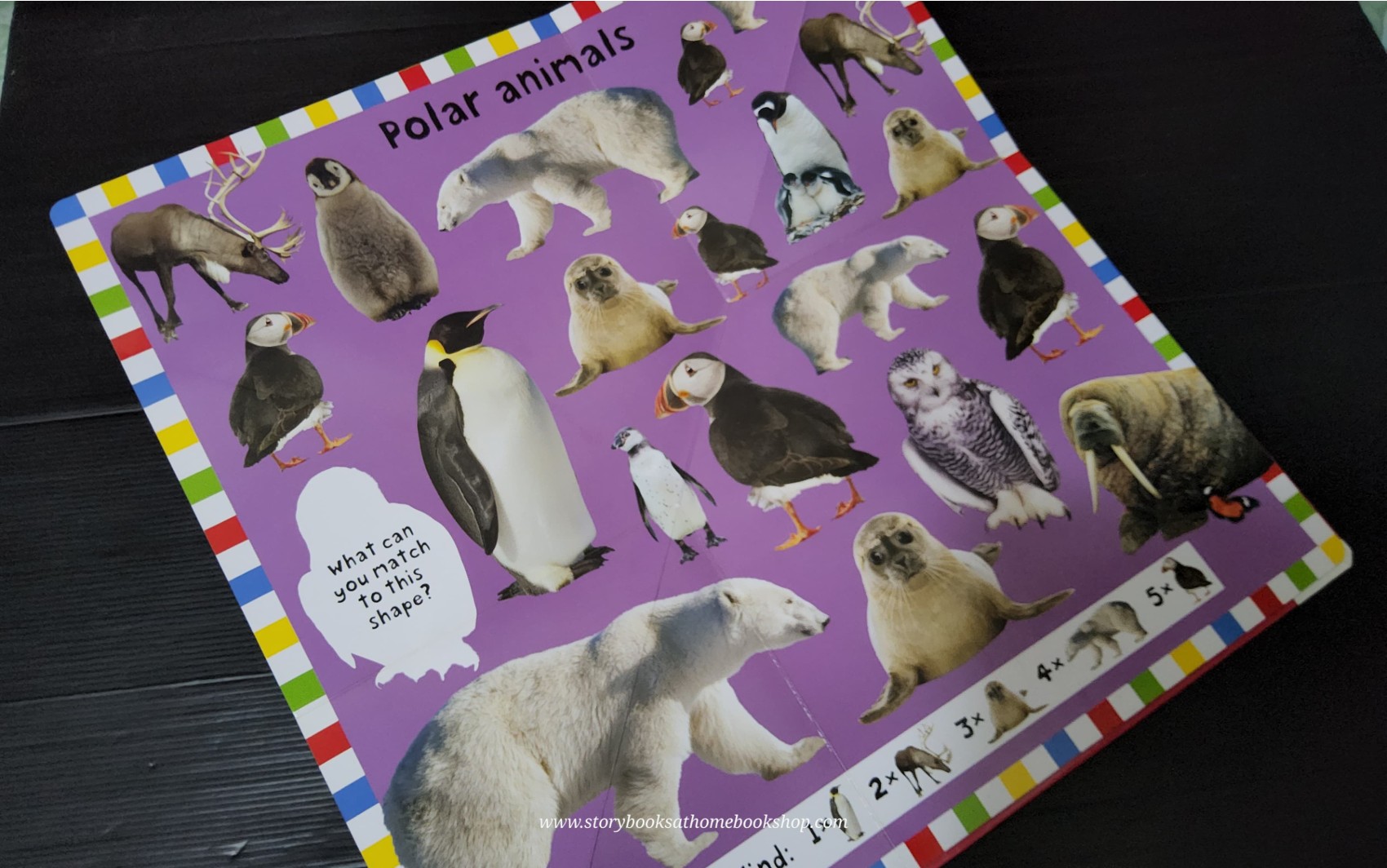 FOLD OUT BOOK ** 🍅🍓A FOLD OUT BOOK AT THE ZOO