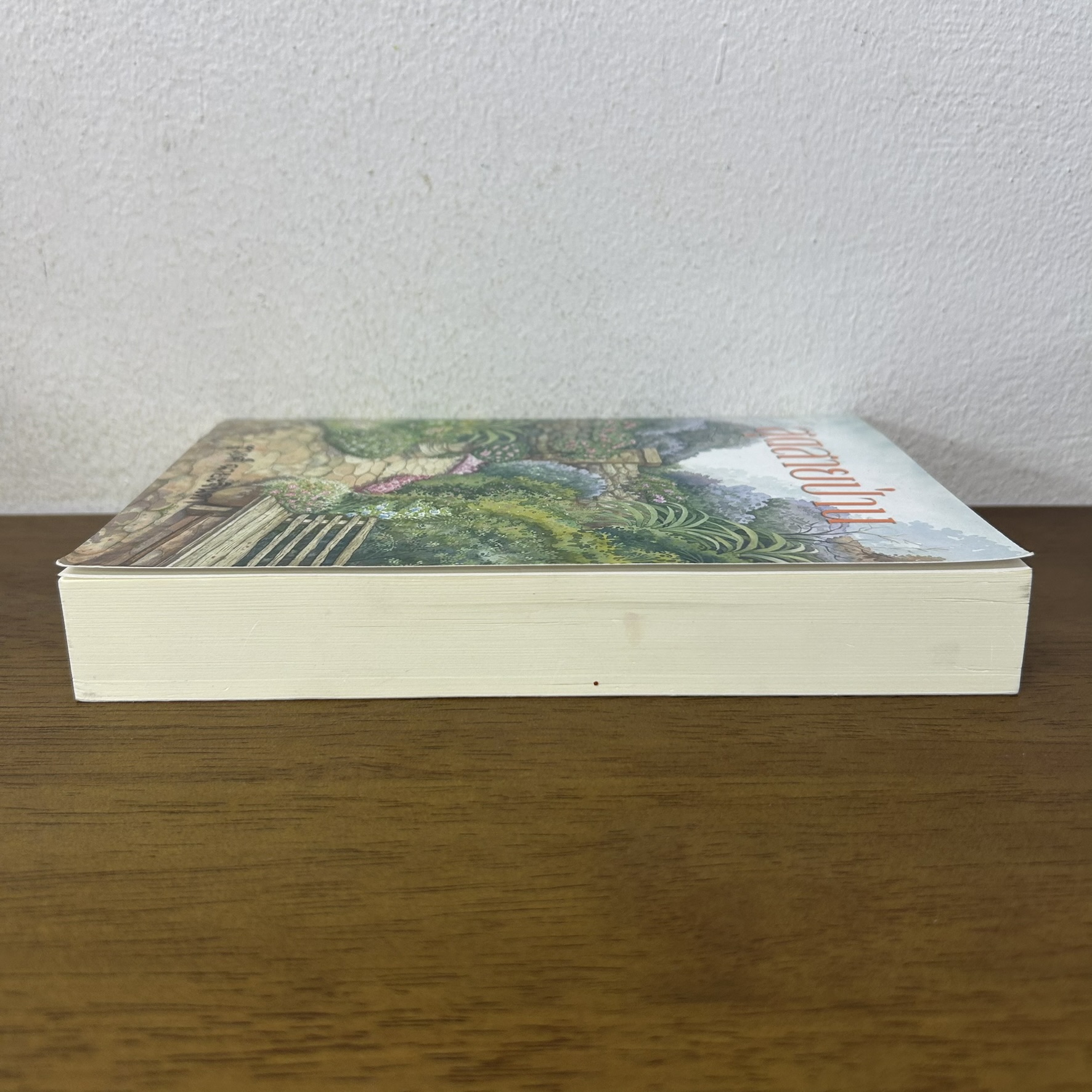 สุดสายป่าน ... ชูวงศ์ ฉายะจินดา (มือสอง) นิยาย โรแมนติก เพื่อนดี