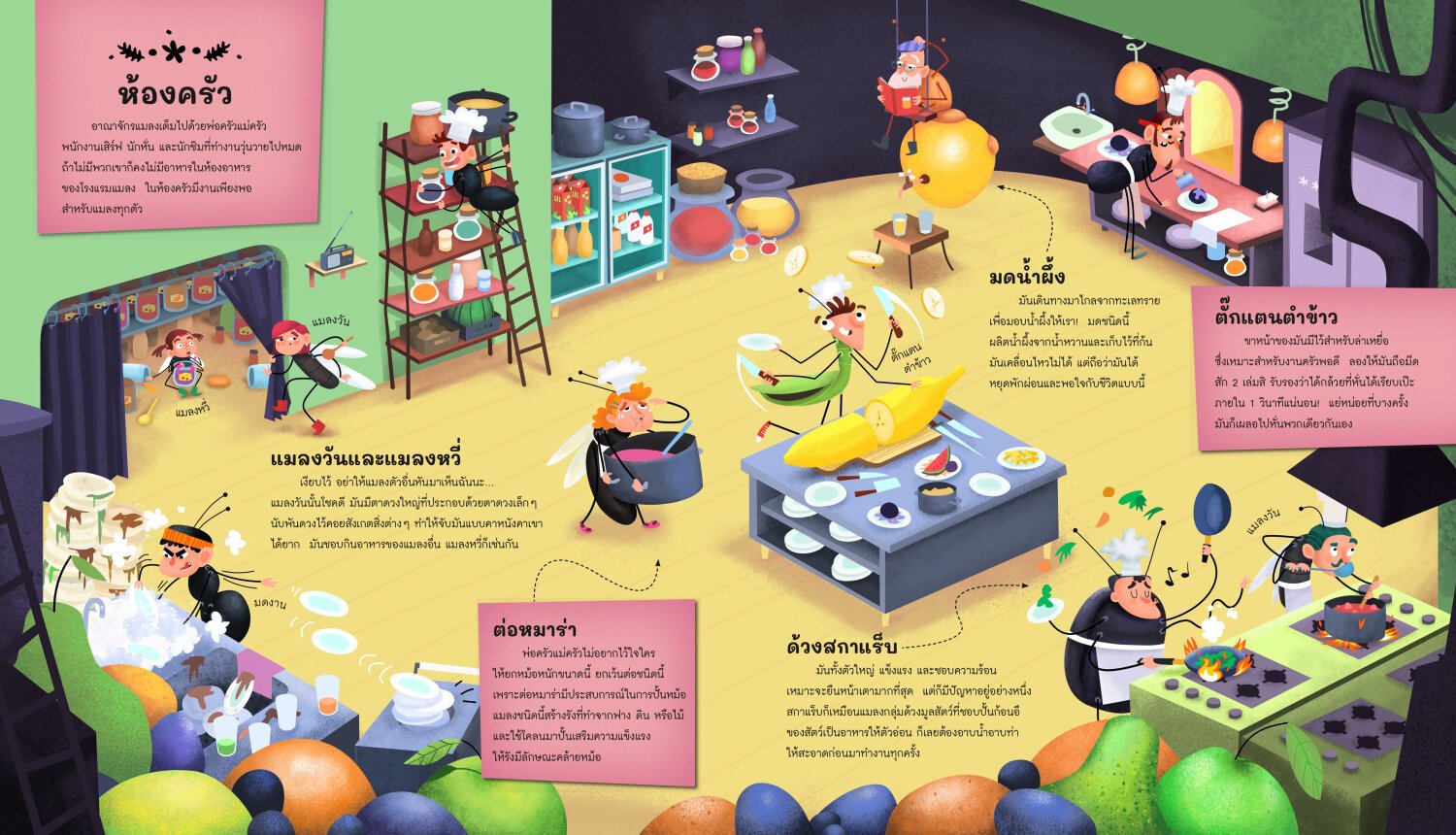 [หนังสือใหม่]แพ็คคู่ โรงแรมแมลงสุดหรรษา + เมืองในป่าสุดหรรษา