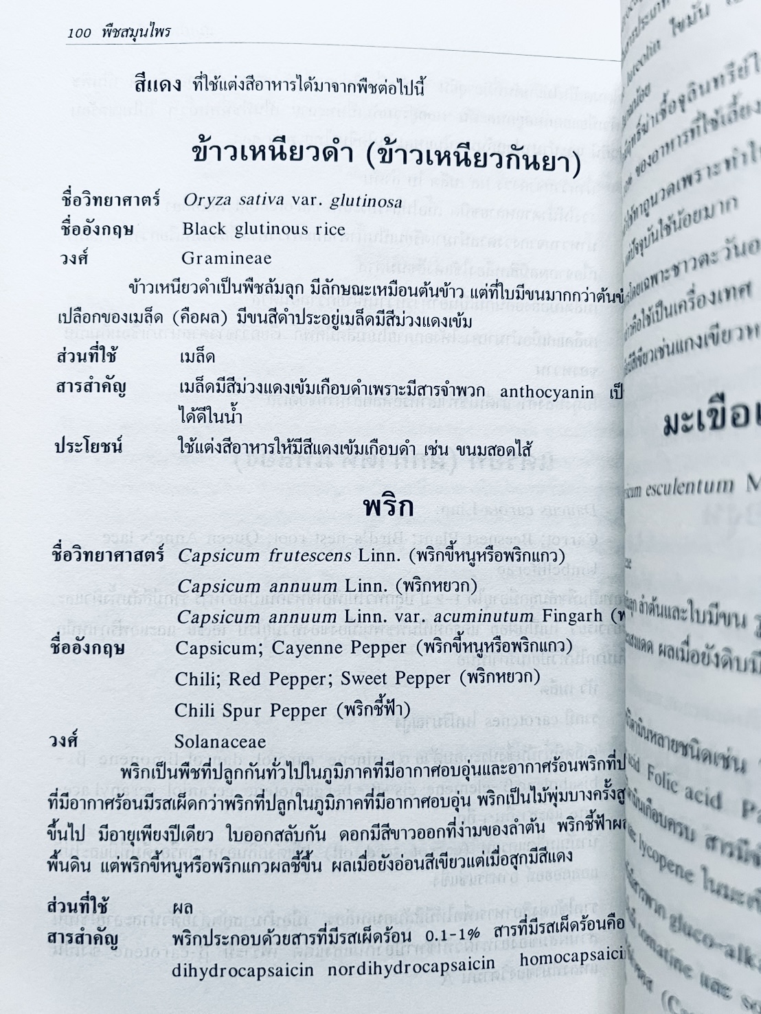 พืชสมุนไพร (ยาสมุนไพรไทย) โดย นิจศิริ เรืองรังษี, พยอม ตันติวัฒน์ คณะเภสัชศาสตร์ จุฬาลงกรณ์มหาวิทยาลัย.