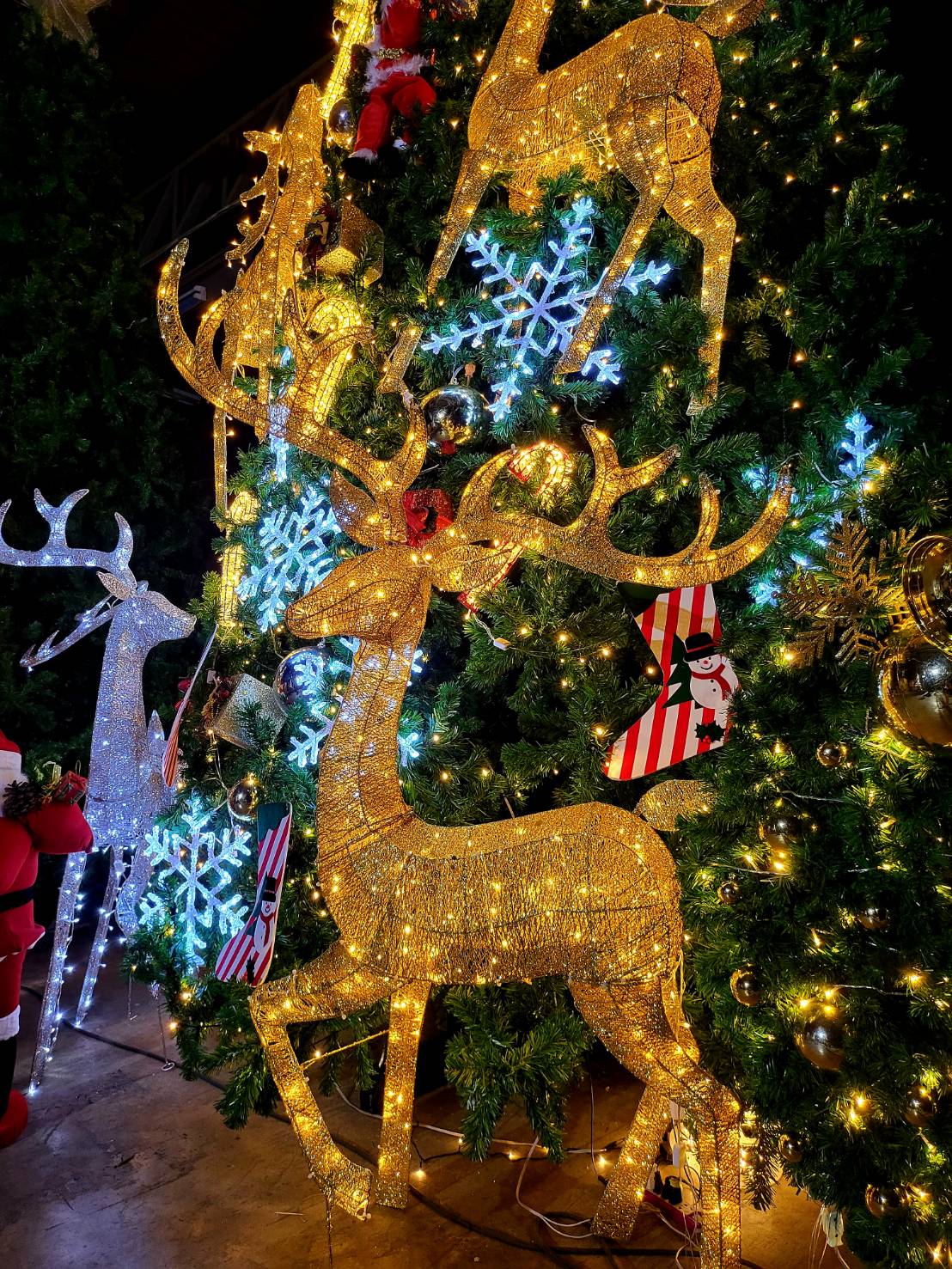 ต้นคริสต์มาสปลอมขนาดใหญ่ 6เมตร.พร้อมตกแต่ง