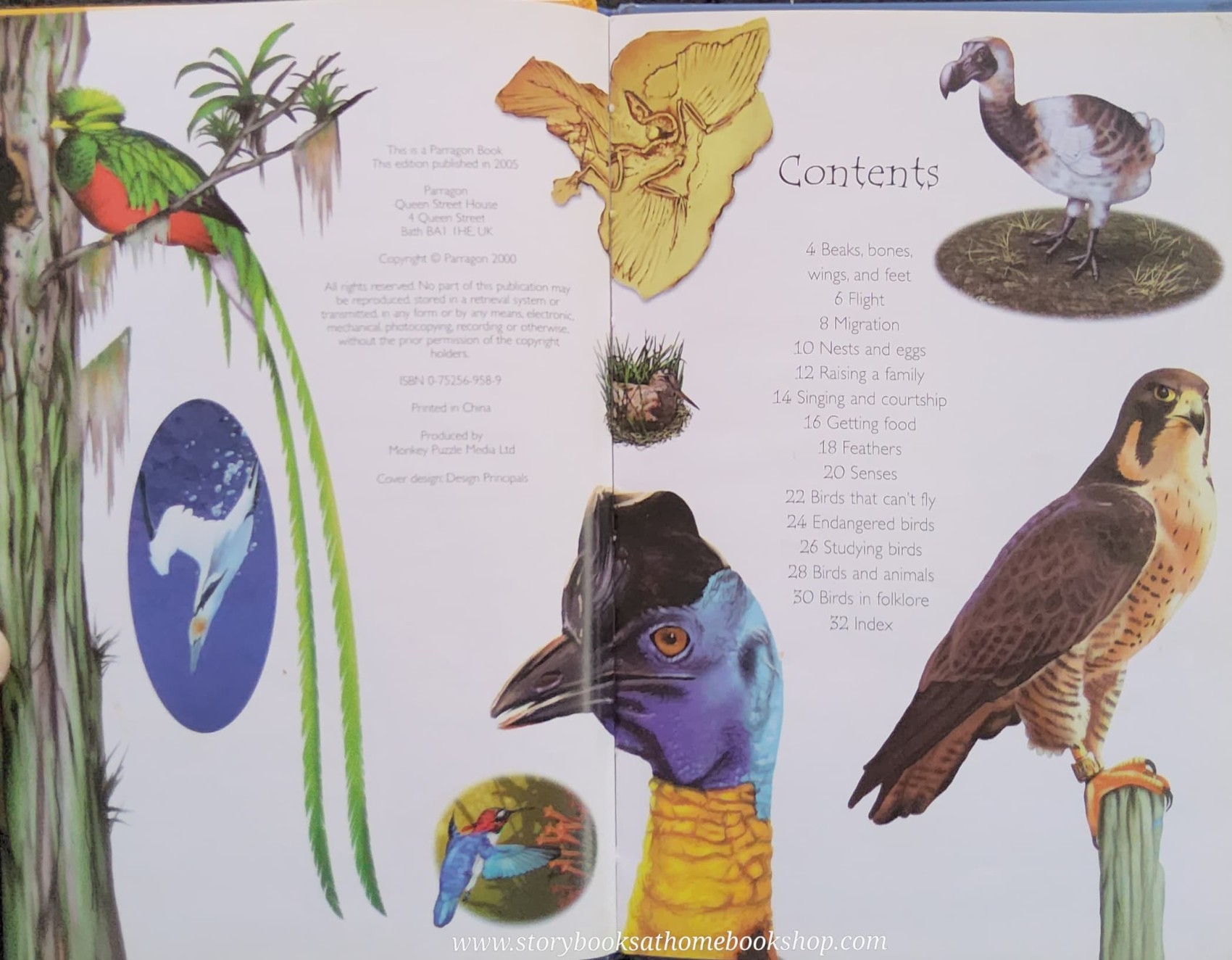 KNOWLEDGE BOOK** ♥️♥️QUESTIONS AND ANSWERS BIRDS